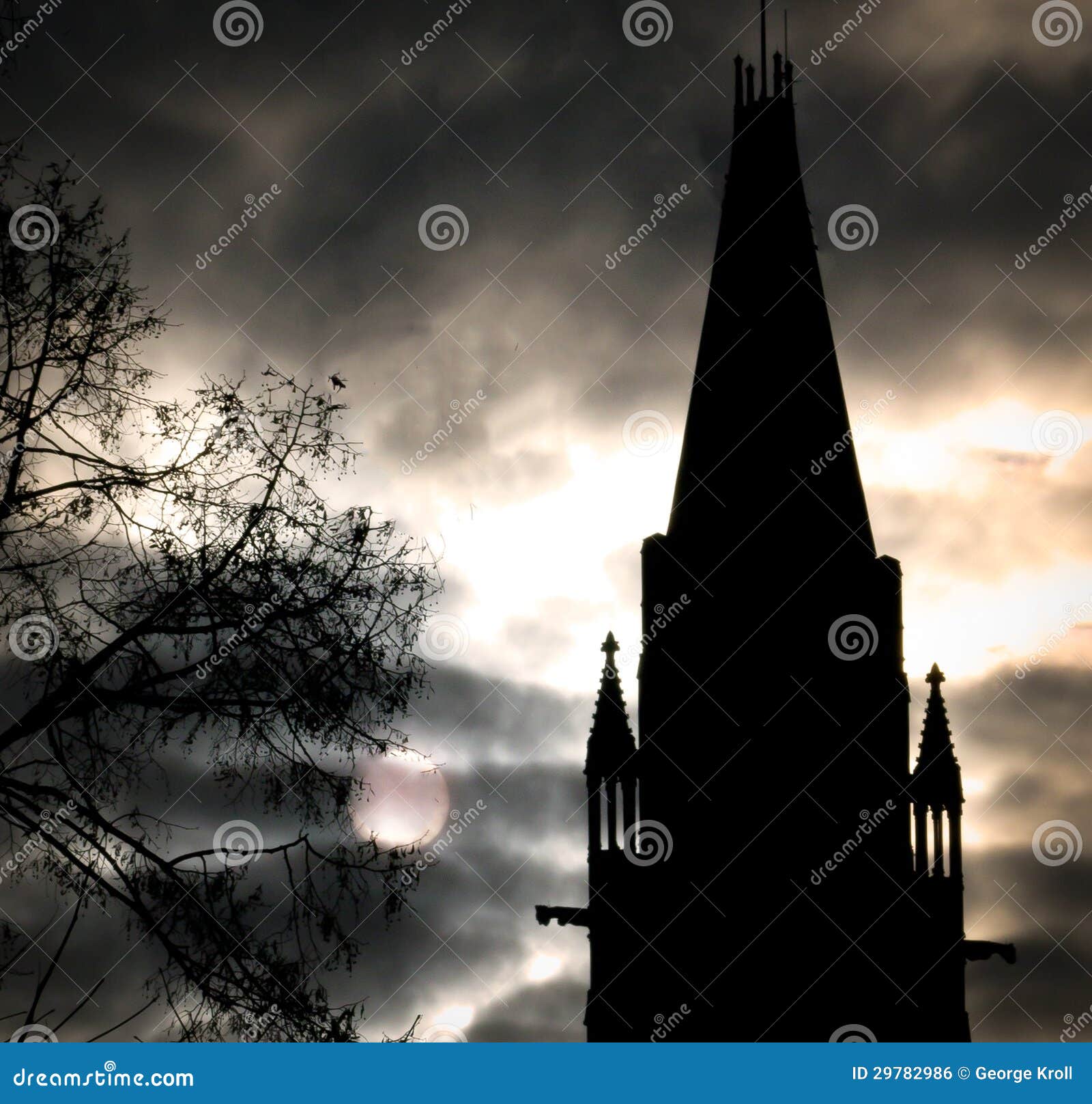 dramatic gothic building, moonlight and tree