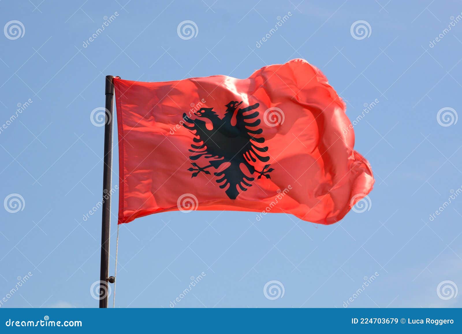 Aprender acerca 46+ imagen drapeau aigle noir fond rouge fr.thptnganamst.edu.vn