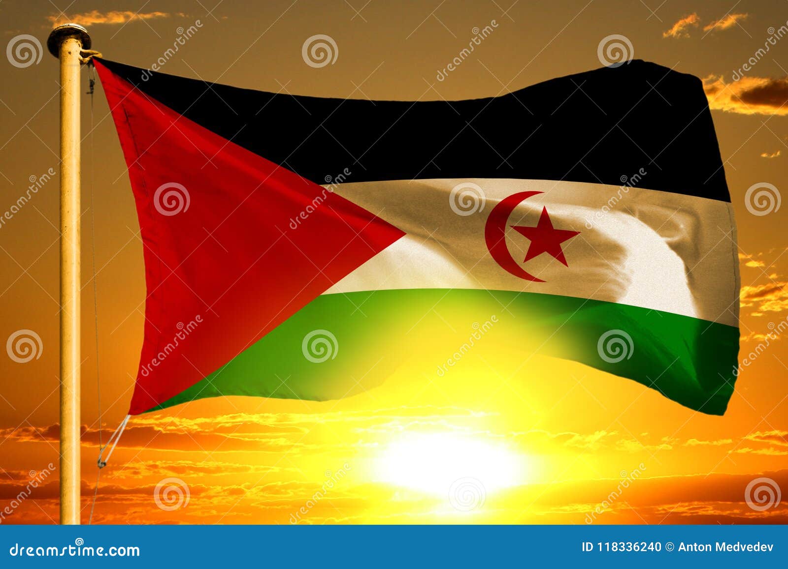 Drapeau De La Sahara Occidental Tissant Sur Le Beau Coucher