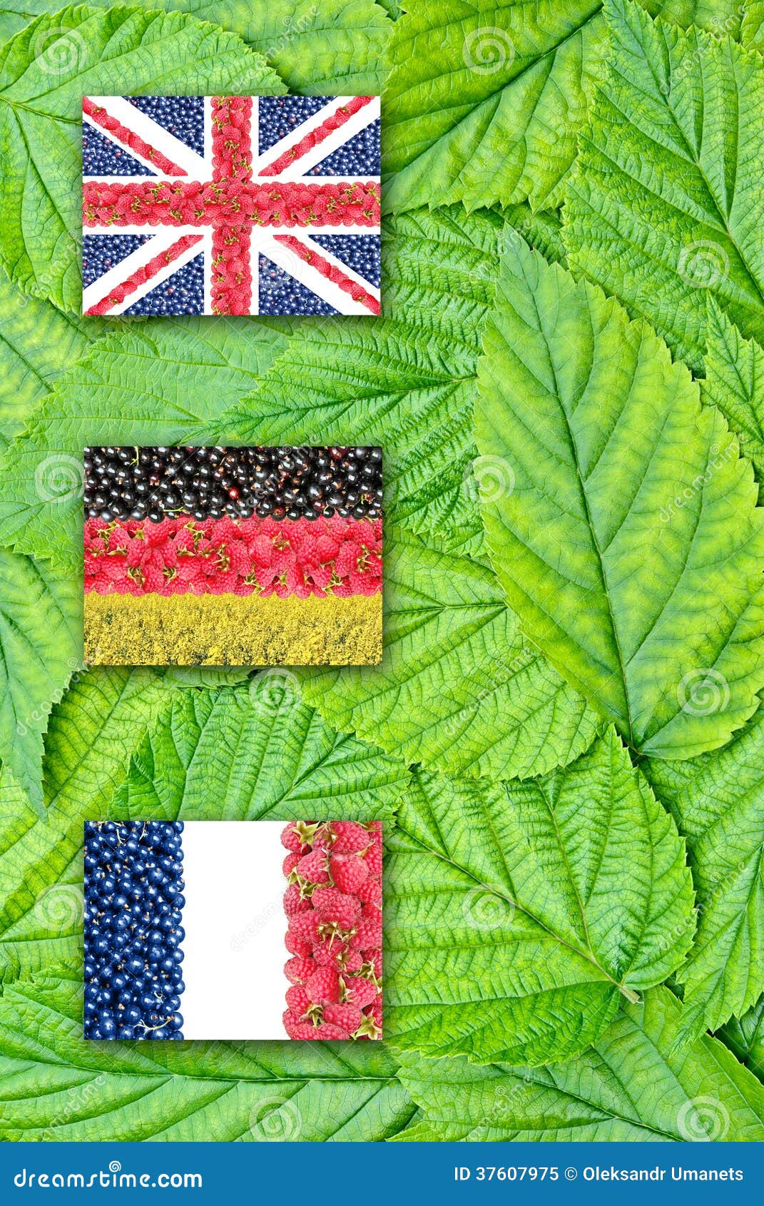 Drapeaux De L Allemagne France Et De L Angleterre Sur Les Feuilles Image Stock Image Du Patrie Bleu 37607975