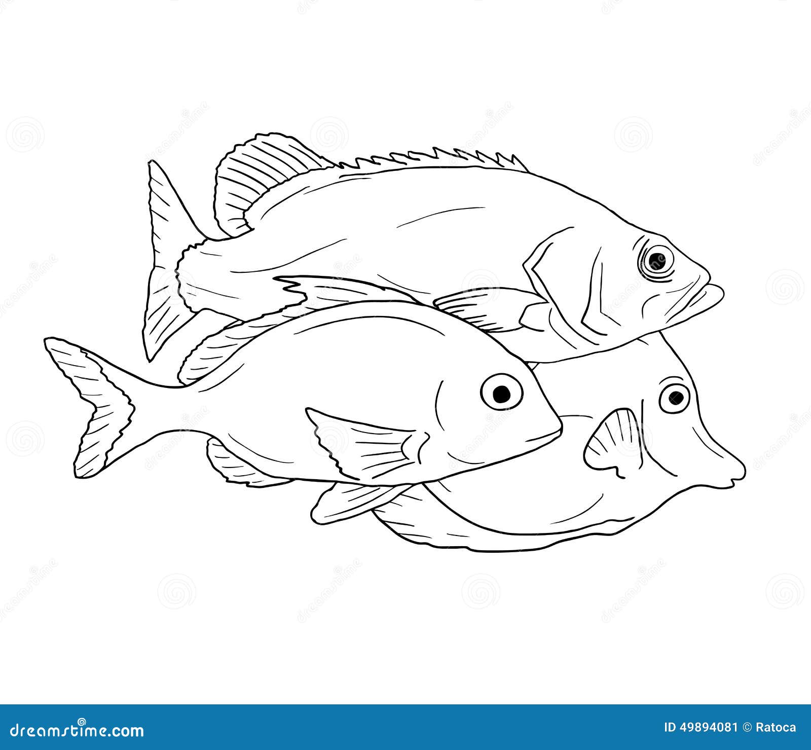 My Image 14