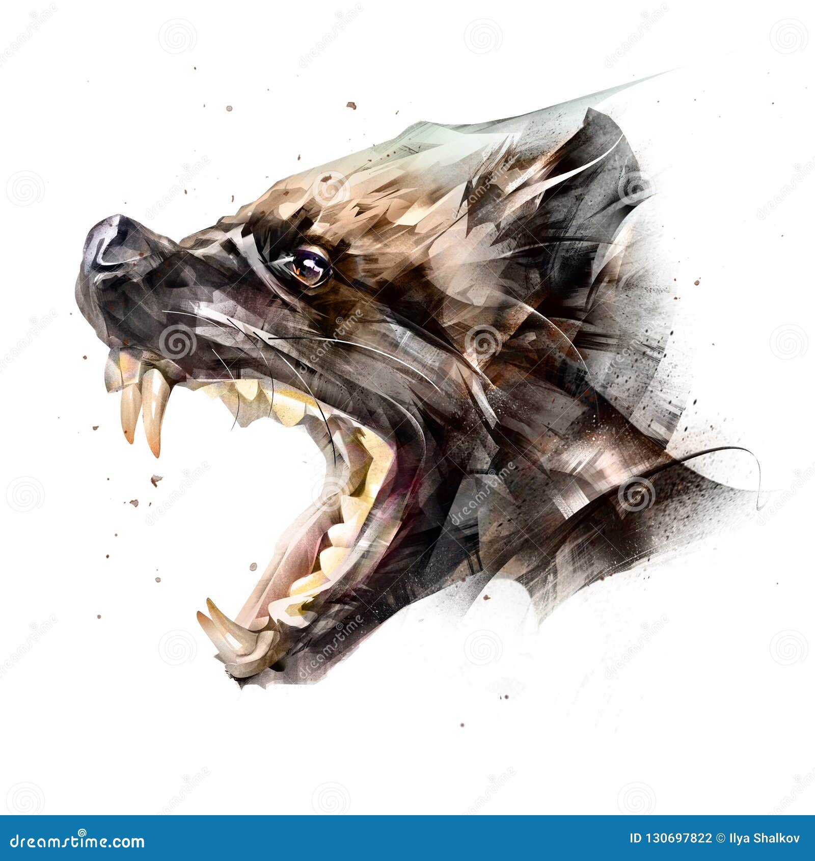 Drawing Animal Muzzle Wolverine Side View on a White Background Stock  Illustration - Illustration of angry, ears: 130697822