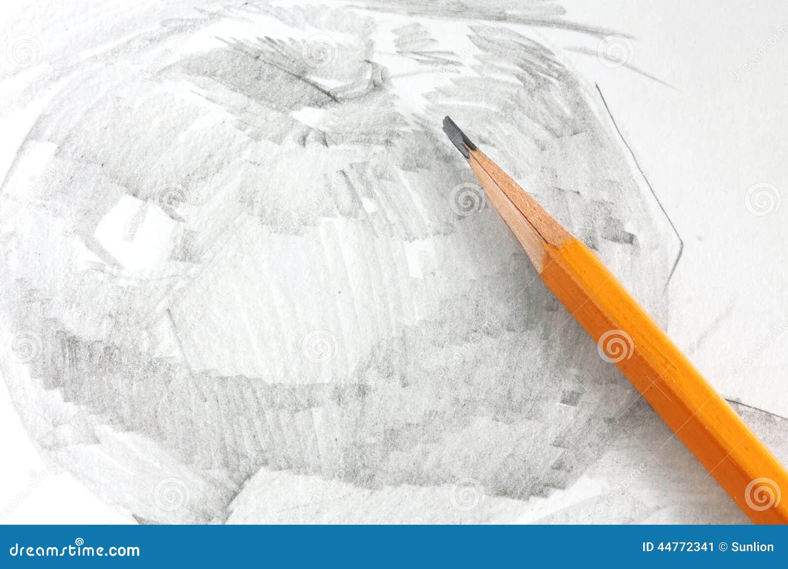 Drawing of Apple by Graphite Pencil Stock Image Image of artist