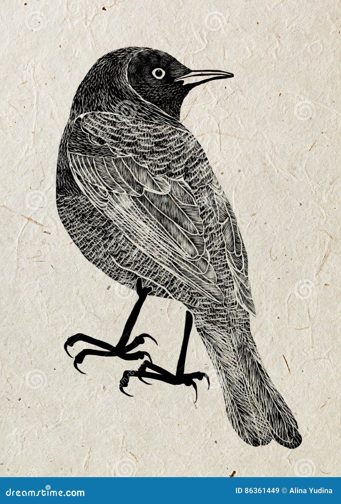 Drawing of Bird Trupial, Black Silhouette on Beige Rice Paper