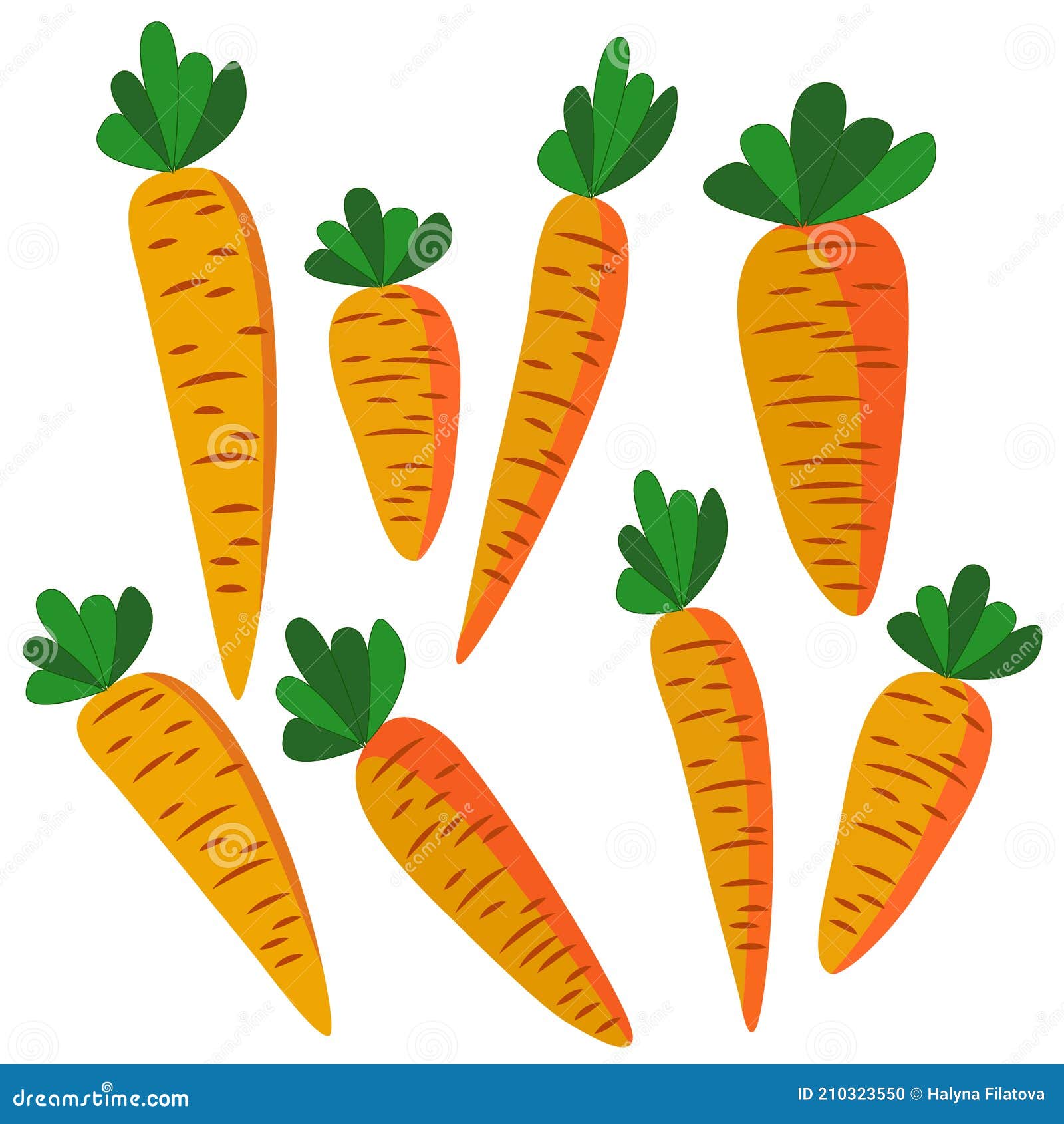 Drawing carrot Carrots coloring