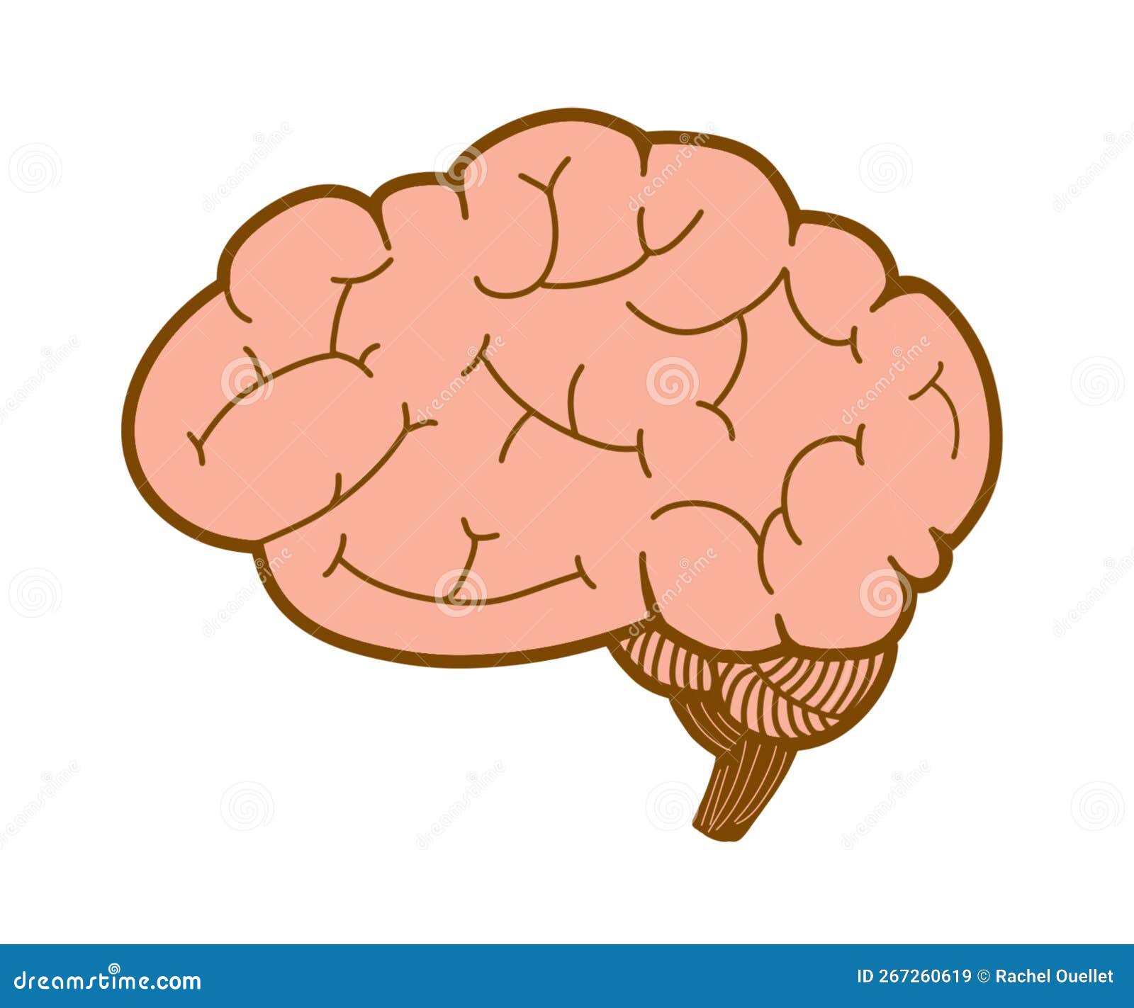 Drawing of a Cartoon Style Brain Stock Illustration - Illustration of ...