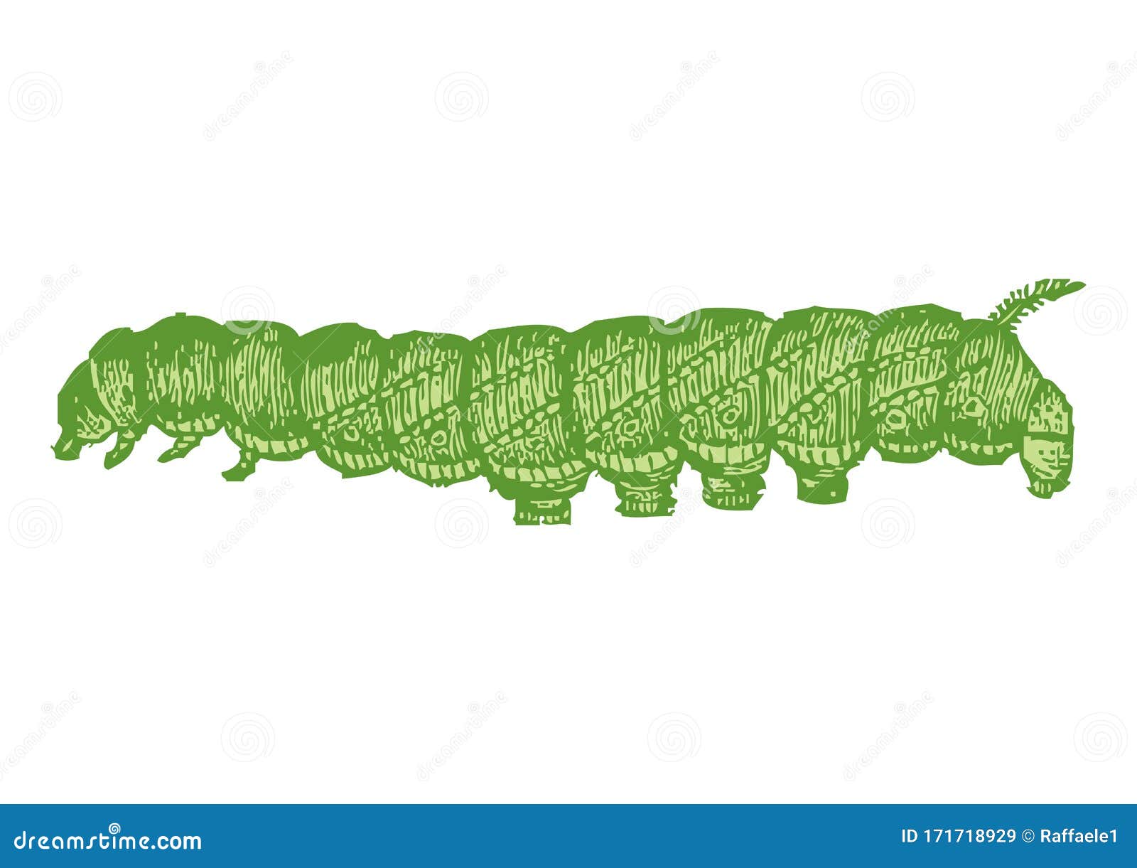 drawing of caterpillar with white background