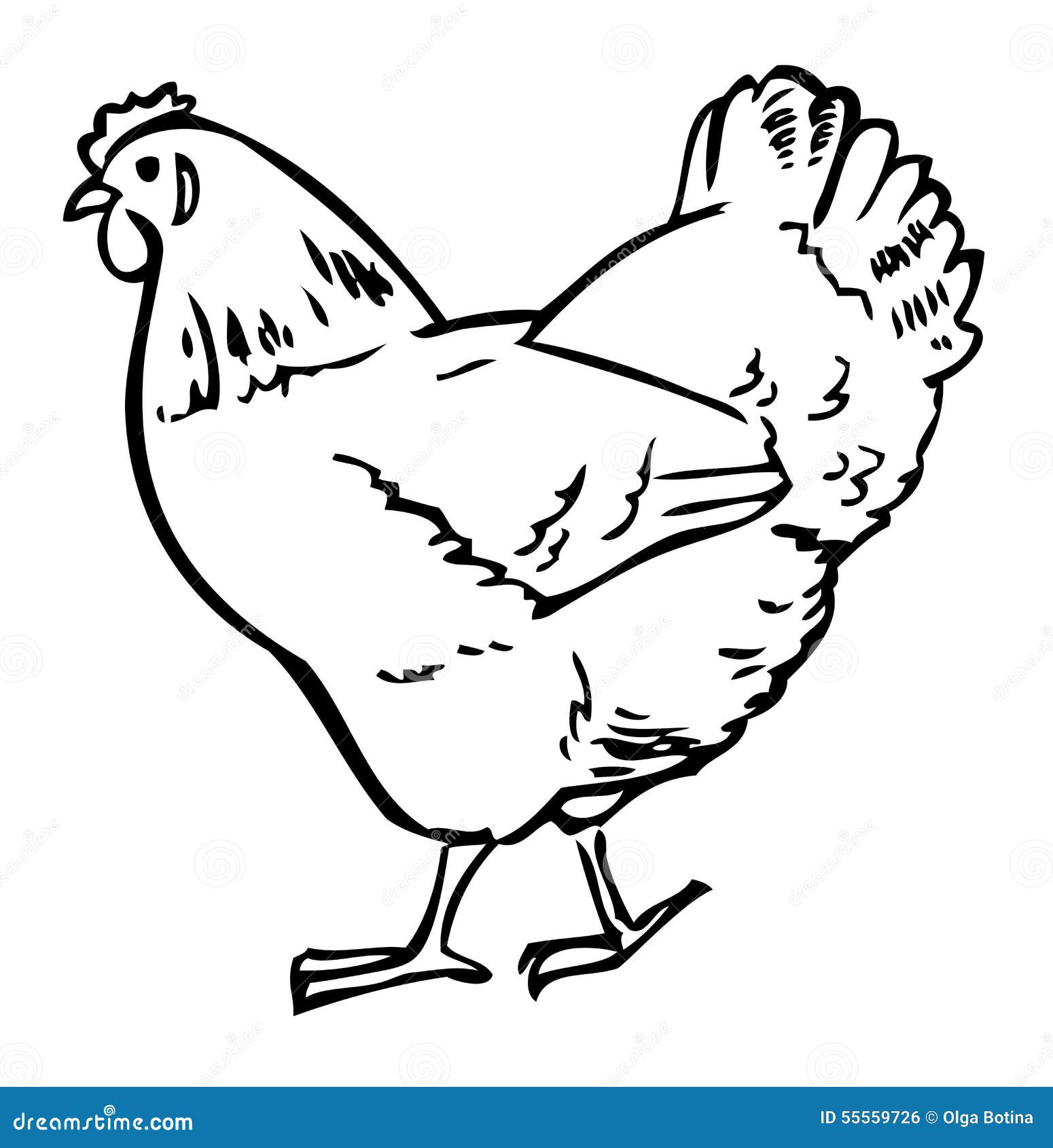 Chicken On White Background Stock Illustration - Download Image