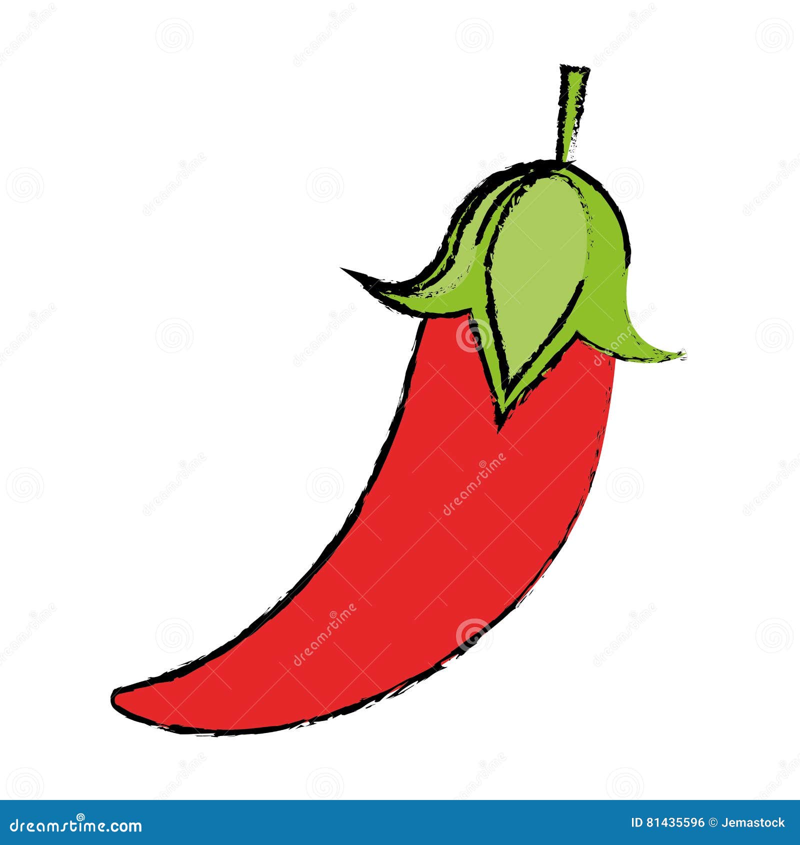 Drawing Chili Pepper Culinary Food Stock Vector Illustration of