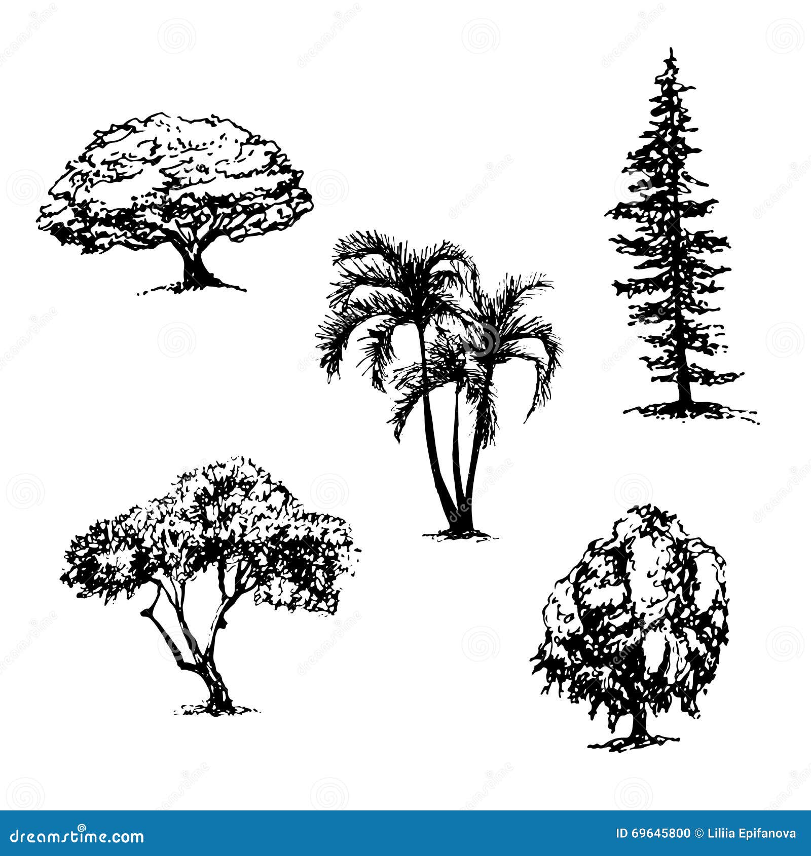 Drawing Of Different Trees In Brown And Some Gray Background, Picture Of Trees  Drawings Background Image And Wallpaper for Free Download