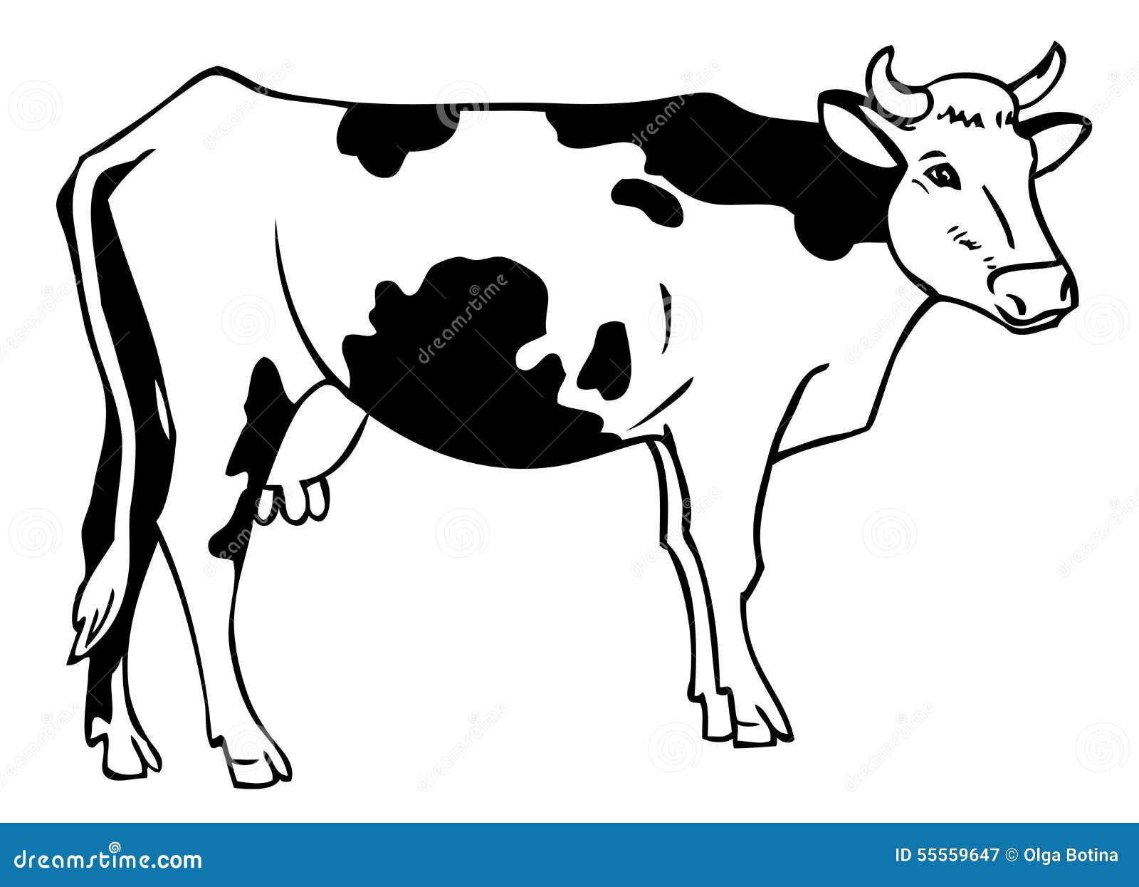 Drawing a cow stock vector. Illustration of white, hand - 55559647