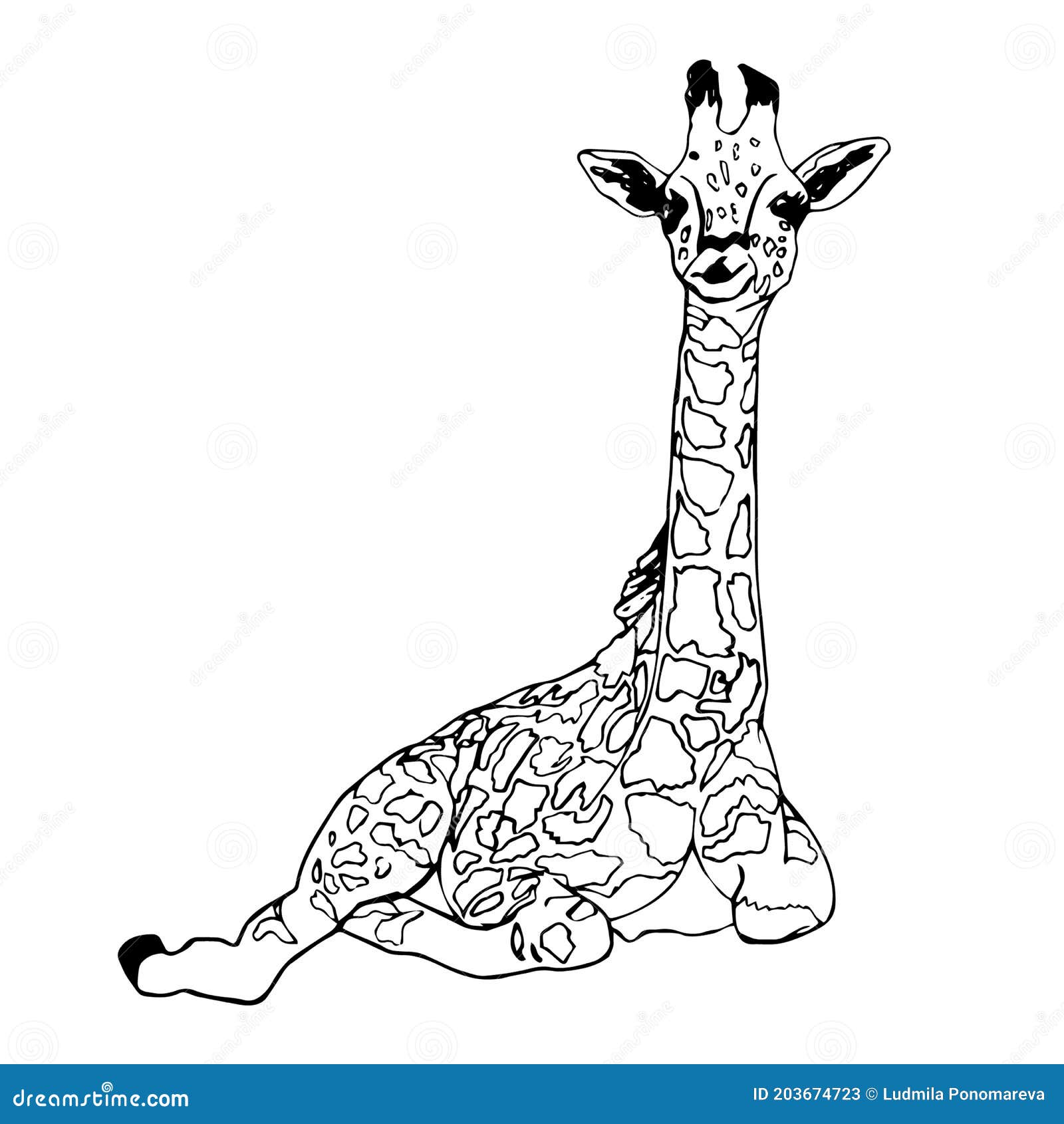 Animal of the Savanna. Giraffe on a White Background. Contour Drawing. Stock Vector - Illustration of vector, close: 203674723 Animal of the Savanna. Giraffe on a White Background. Contour Drawing. Stock Vector - Illustration of vector, close: 203674723