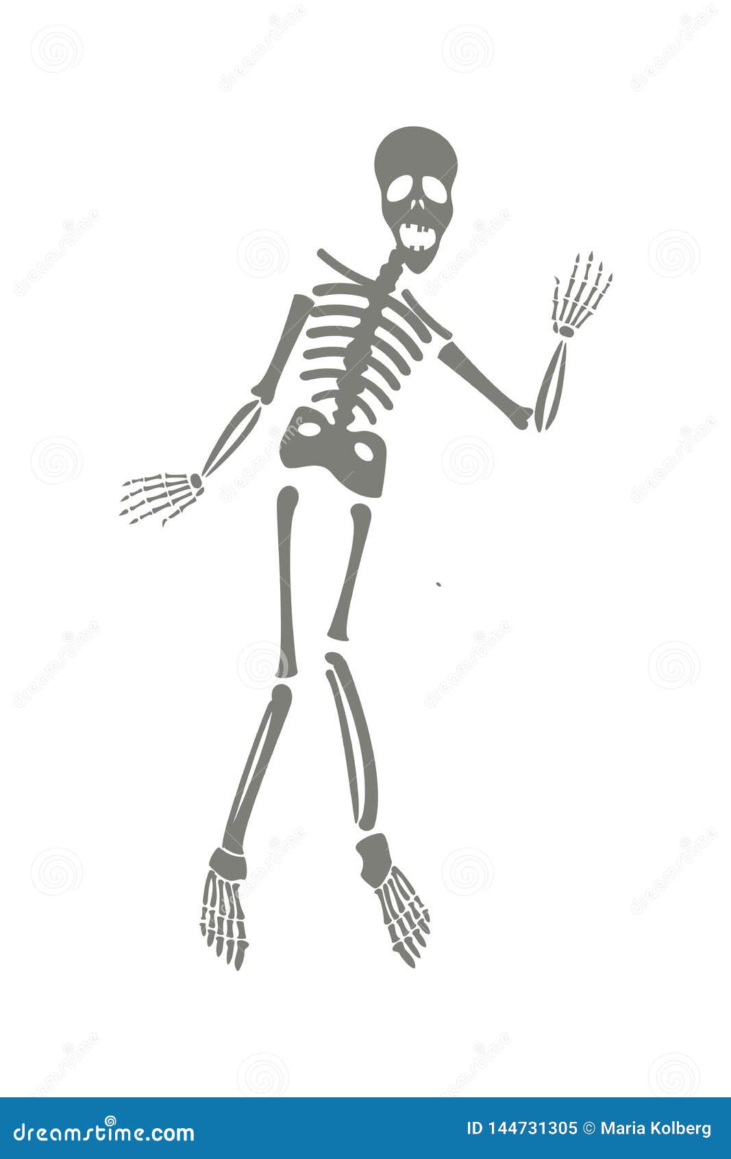 Human Body Anatomy Man Royalty Free Illustration