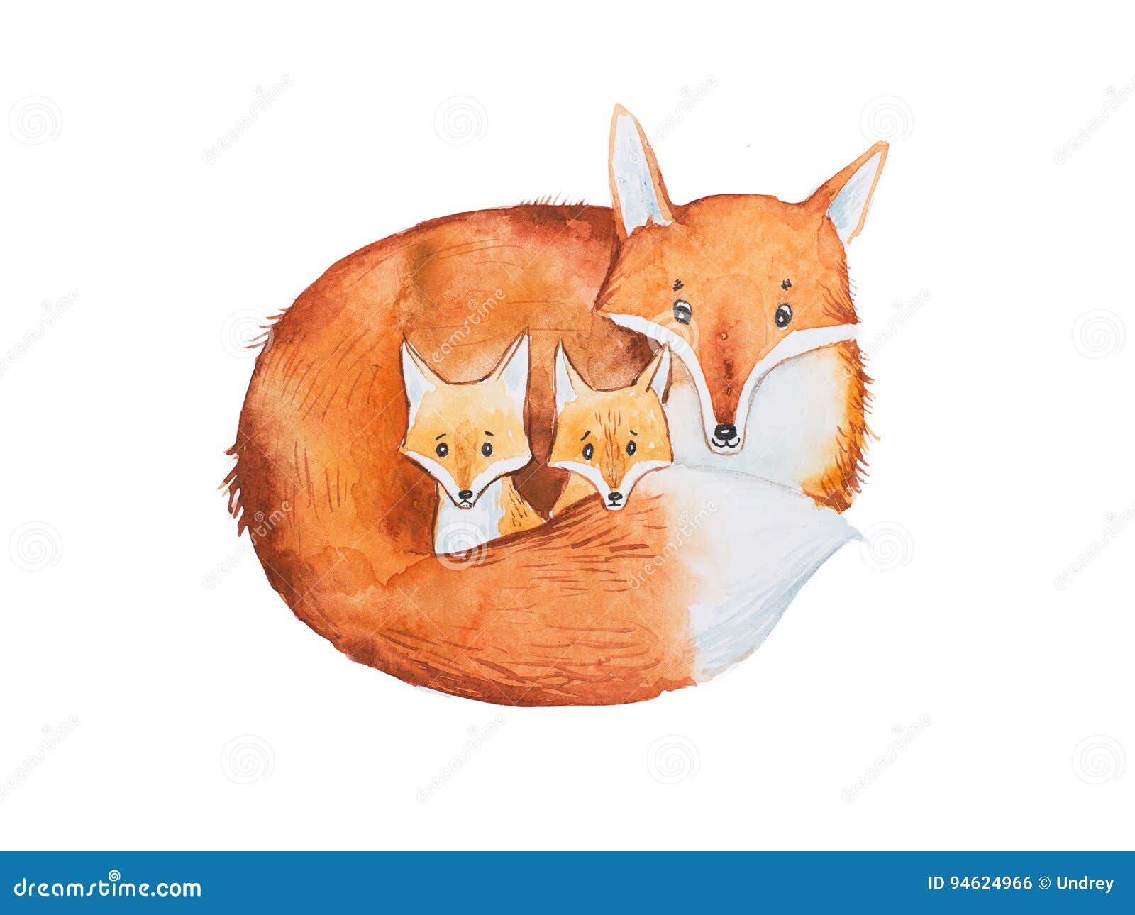 foxes drawing cute