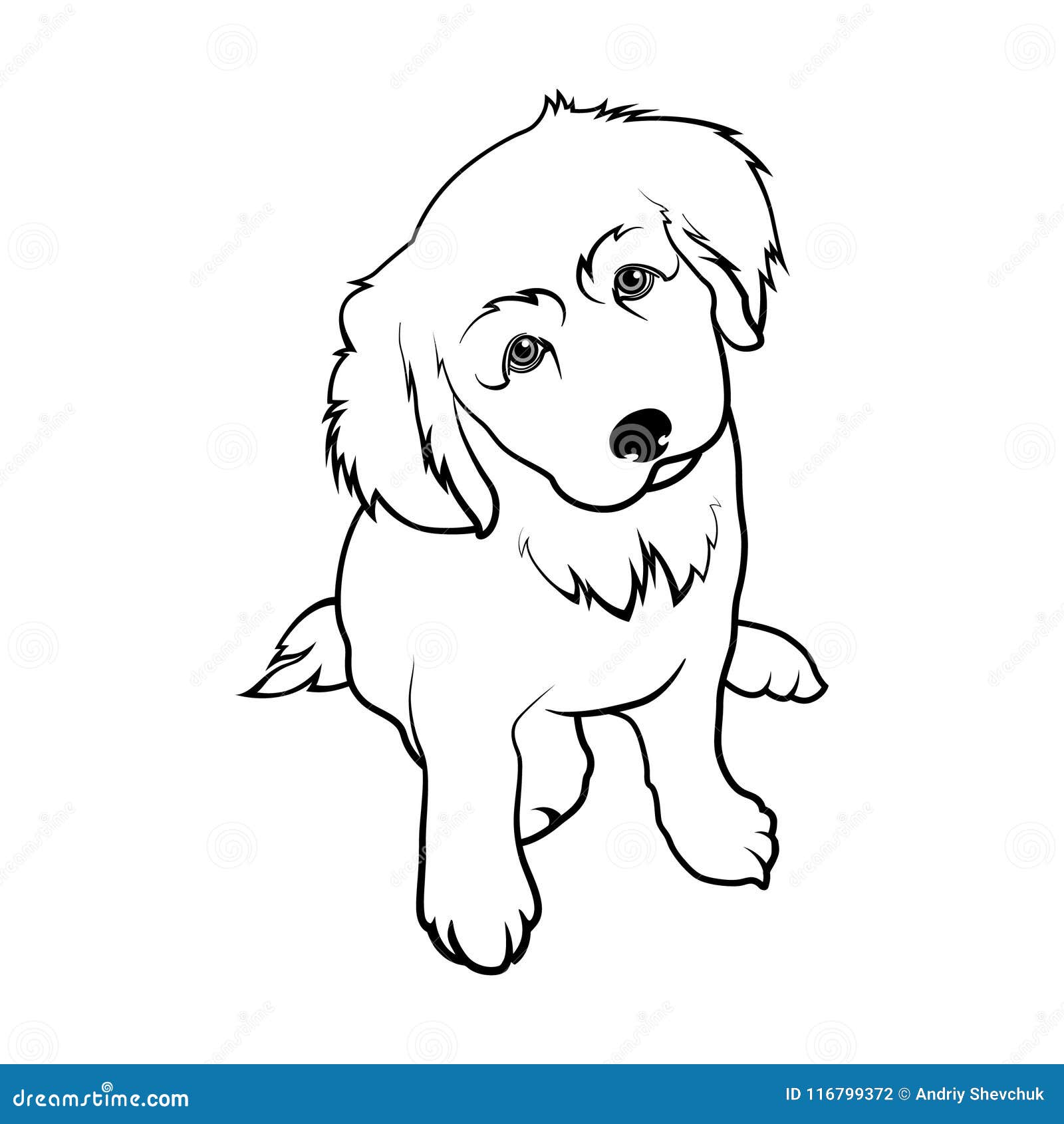 Dog Breed Labrador. Puppy Labrador Stock Vector - Illustration of tail,  design: 116799372