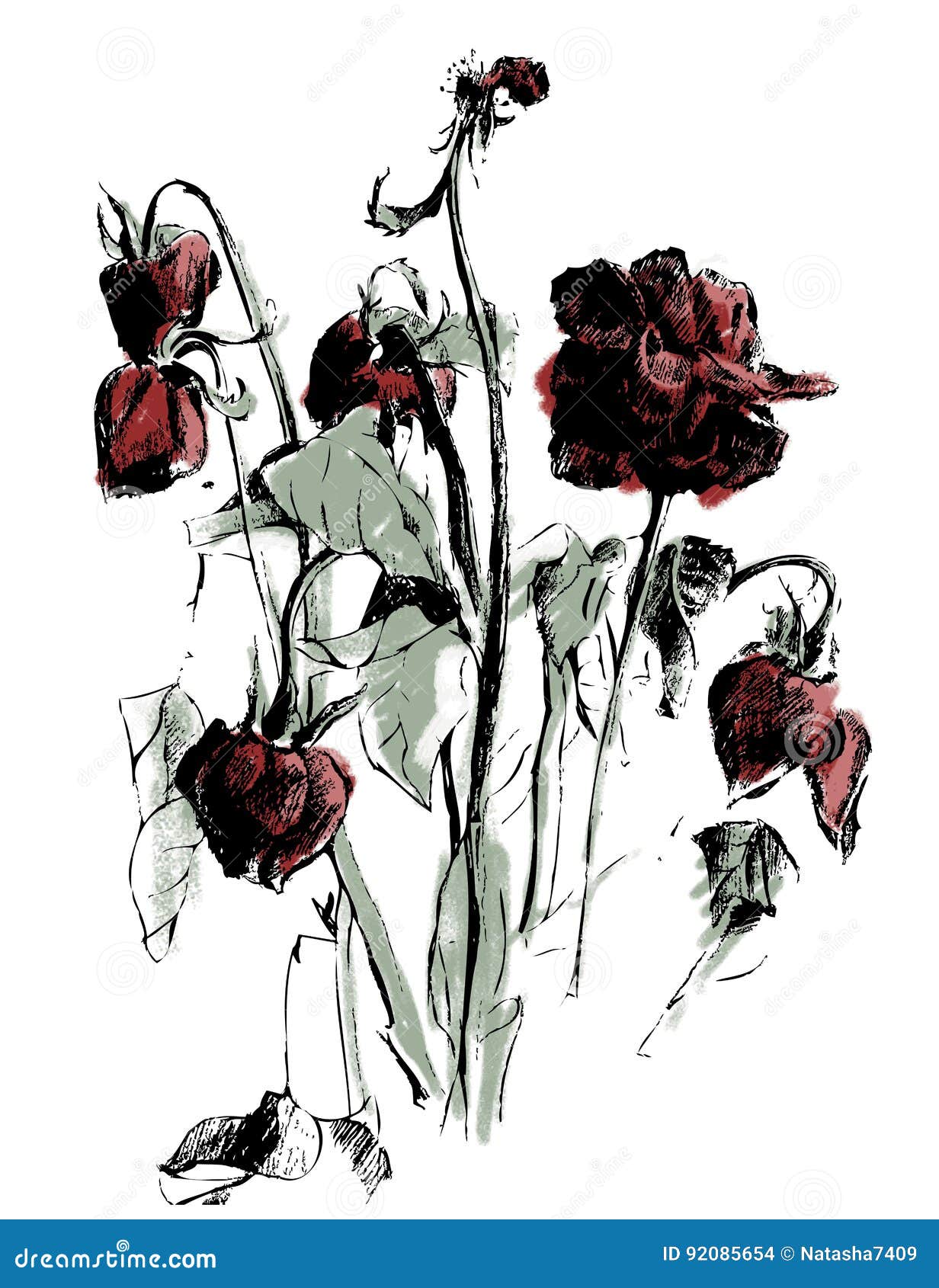 Dead Rose Drawing  How To Draw A Dead Rose Step By Step