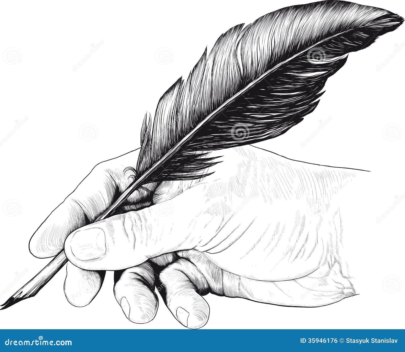 Chalk Drawing Feather Stock Illustrations – 1,521 Chalk Drawing Feather  Stock Illustrations, Vectors & Clipart - Dreamstime