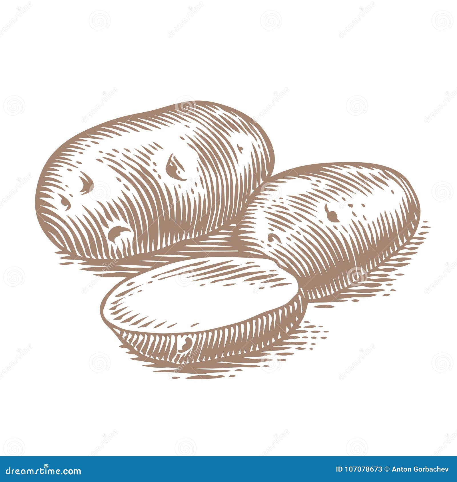 Potato illustration hires stock photography and images  Alamy