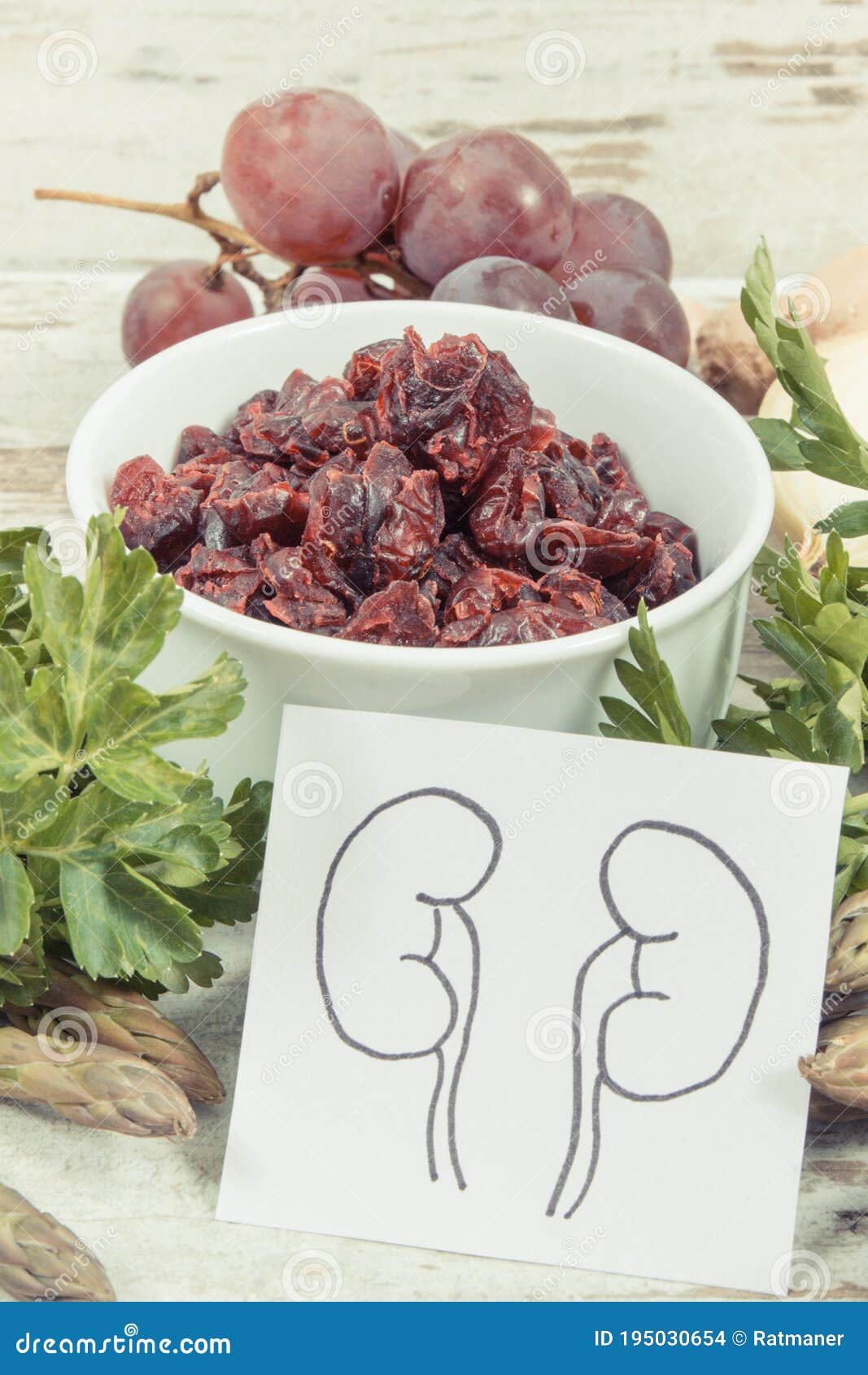 Drawing of Kidneys and Healthy Eating As Source Vitamins and Minerals