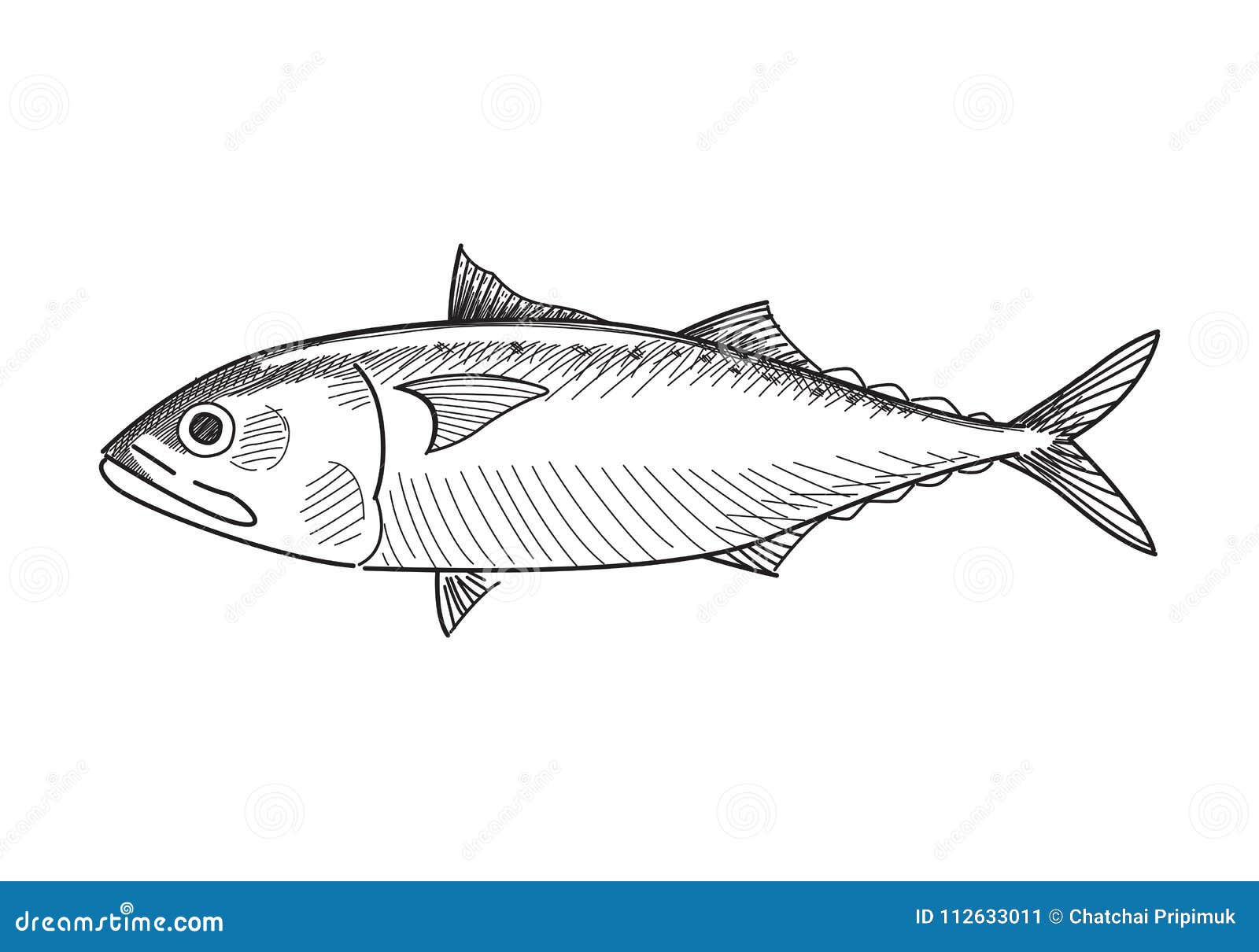 Drawing Mackerel Fish, Vector Stock Vector Illustration of restaurant, line 112633011