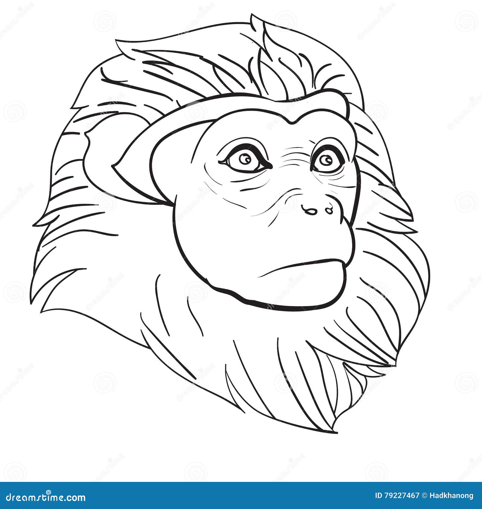 COMO DESENHAR UM MACACO - HOW TO DRAW A MONKEY 