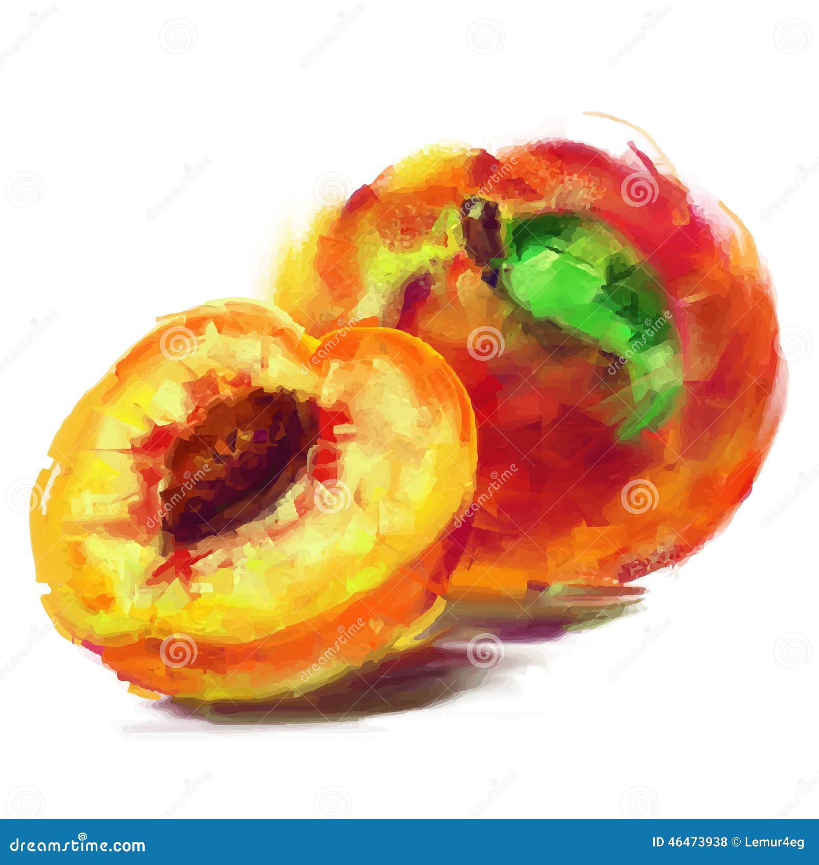 Drawing peach with a slice stock vector. Illustration of splash 46473938