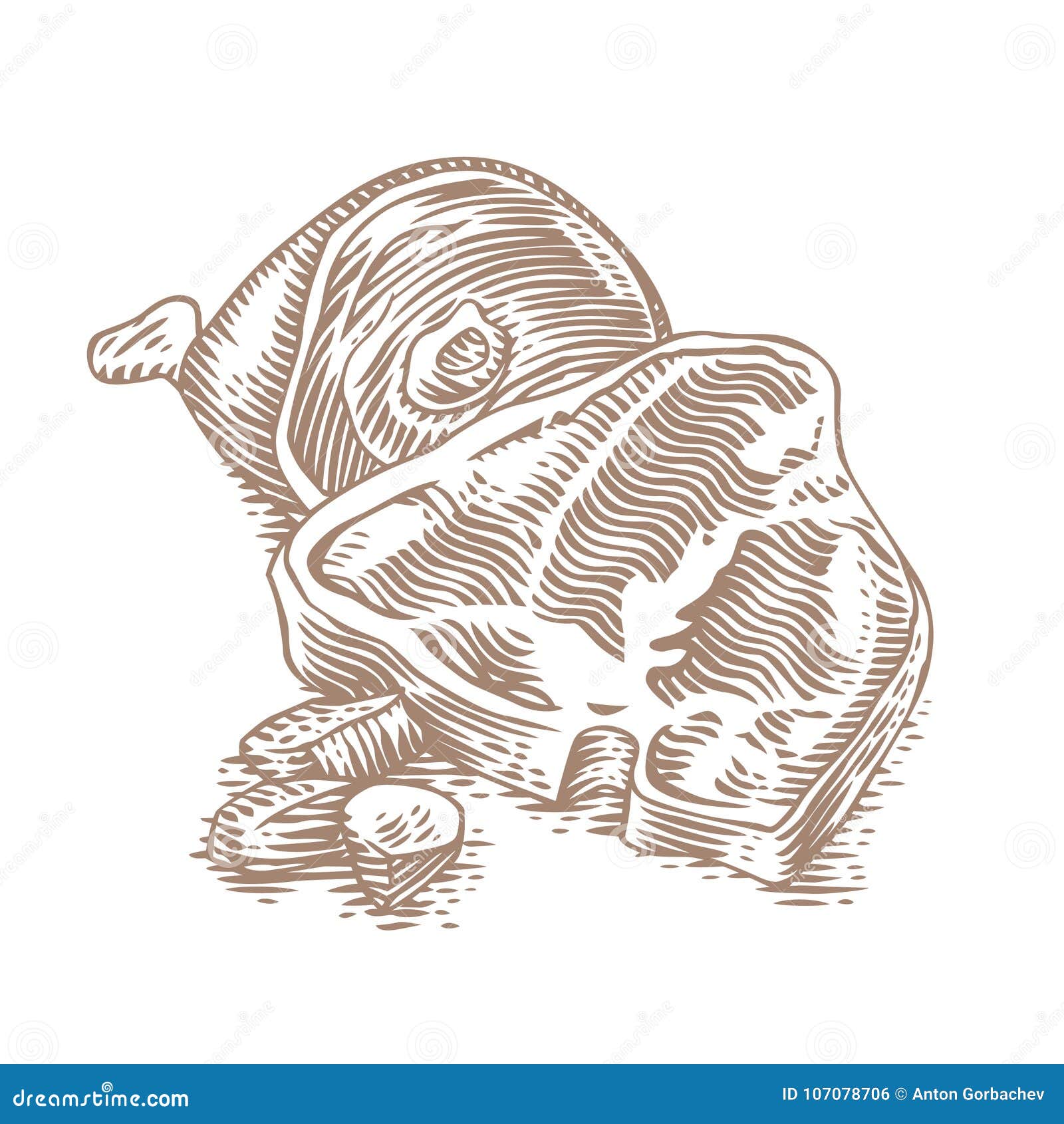 Row Pork Steak Slices And Herbs. Vector Illustration On A Black