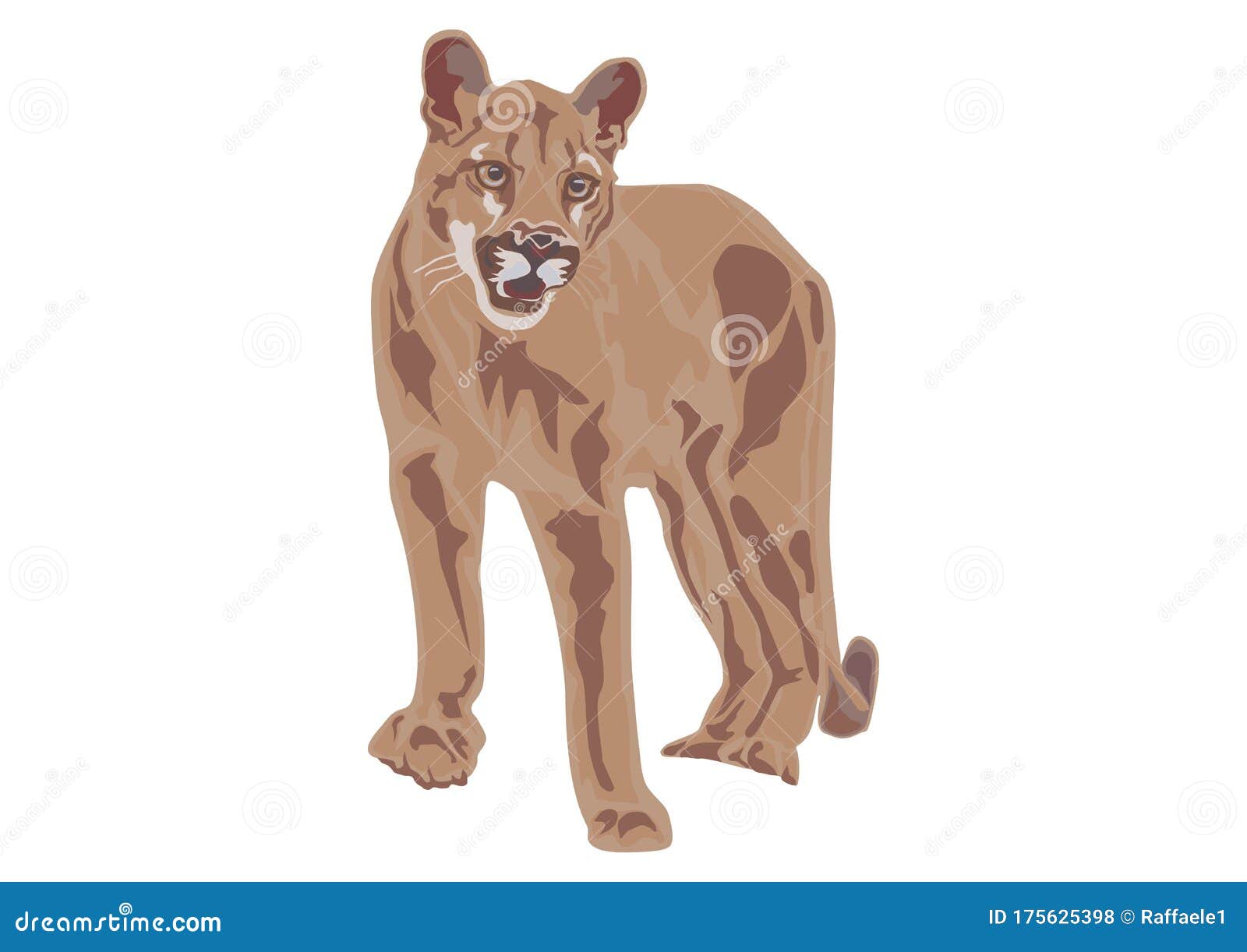 Puma Drawing - Are you searching for puma png images or vector