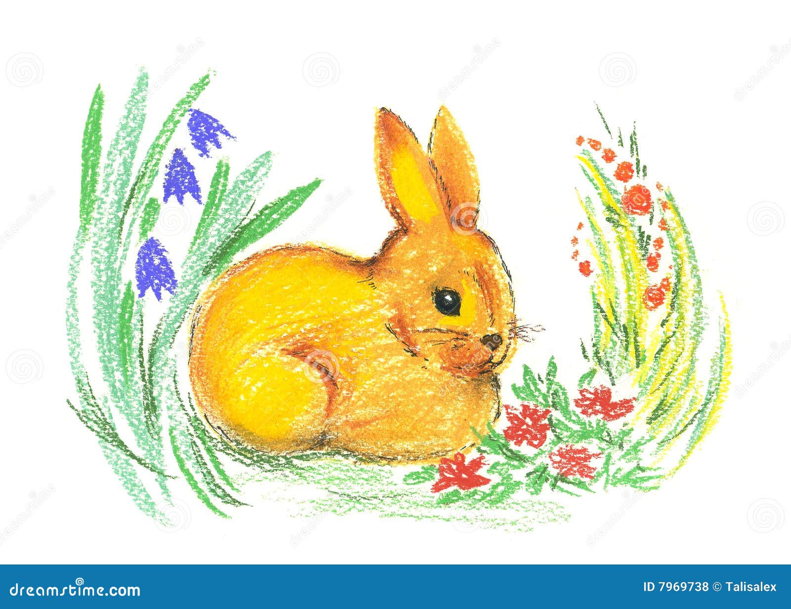 Free Rabbit Pictures To Colour In, Download Free Rabbit Pictures To Colour  In png images, Free ClipArts on Clipart Library