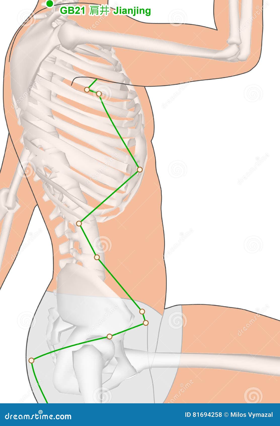 Gallbladder Meridian Chart