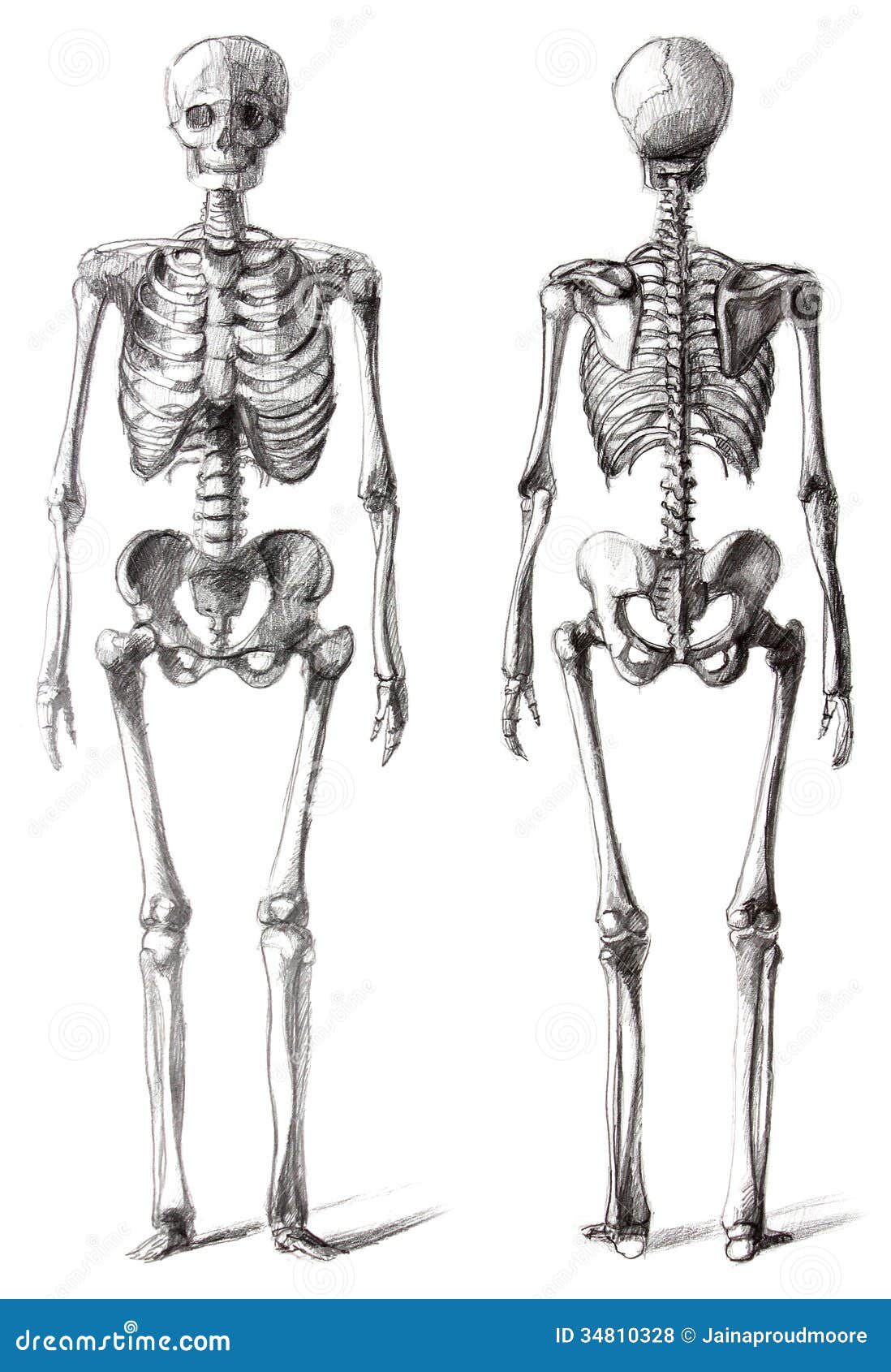 Drawing Skeleton Royalty Free Stock Photos - Image: 34810328