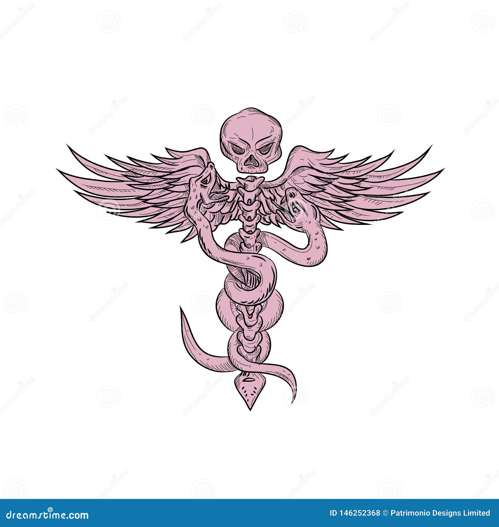 Skull and Spinal Column with Snakes Drawing Stock Vector - Illustration of graphic, arch: 146252368 Skull and Spinal Column with Snakes Drawing Stock Vector - Illustration of graphic, arch: 146252368