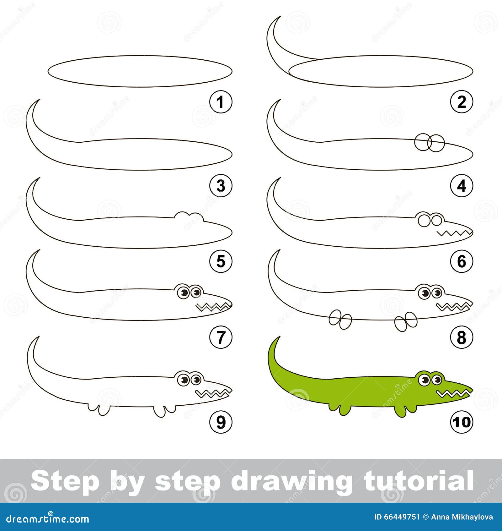 drawing tutorial. how to draw an alligator