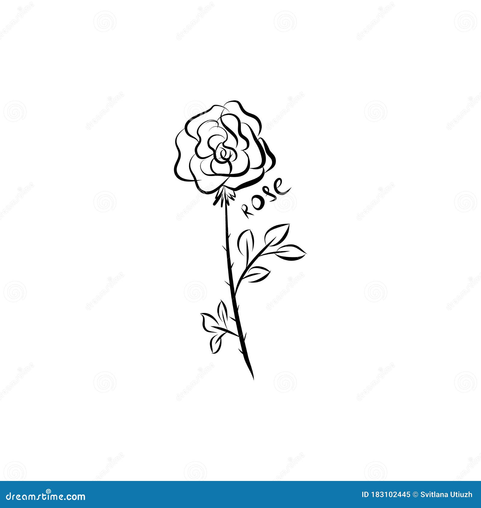 Heliotrope Flower Stock Illustrations – 169 Heliotrope Flower Stock  Illustrations, Vectors & Clipart - Dreamstime