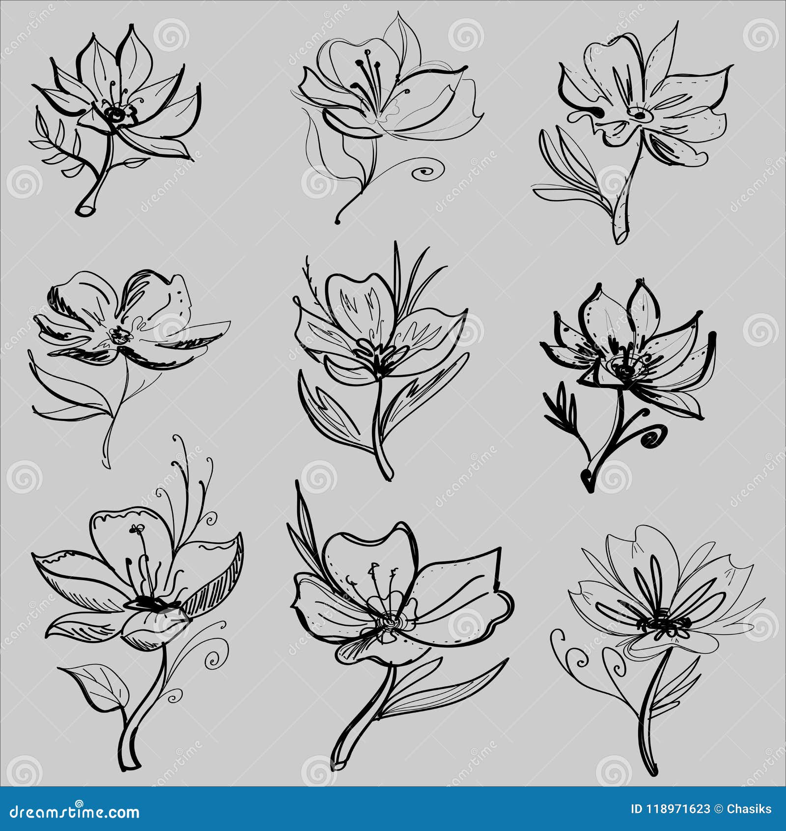 Drawing Vector Graphics With Floral Pattern For Design Floral Flower Natural Design Graphic Sketch Drawing Stock Vector Illustration Of Sketch Background