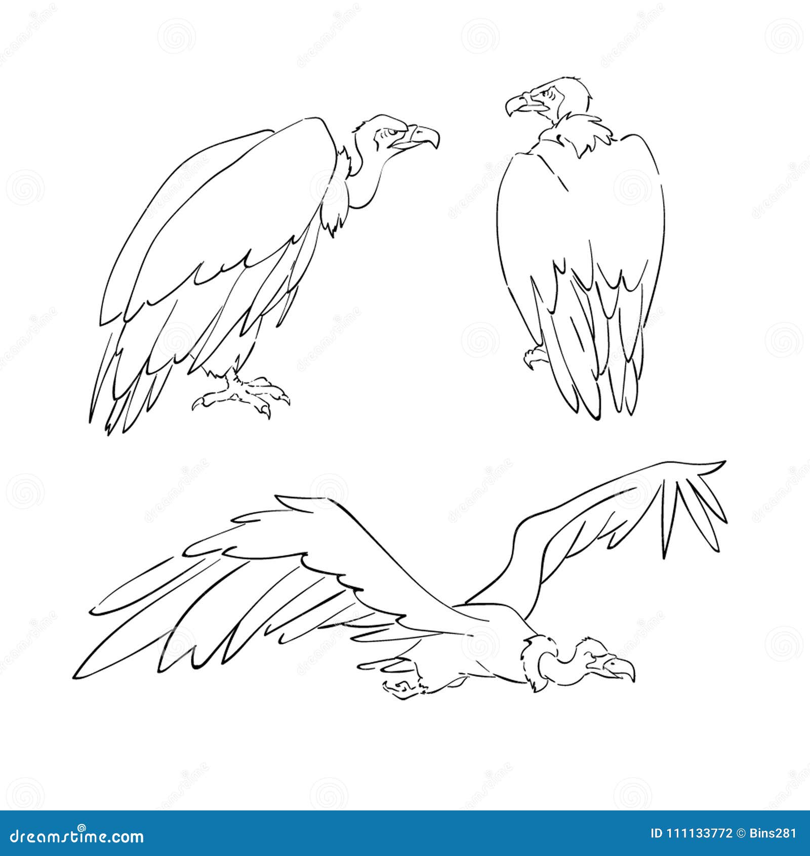 Griffon vulture Wild forest bird of prey Hand  Stock Illustration  81858162  PIXTA