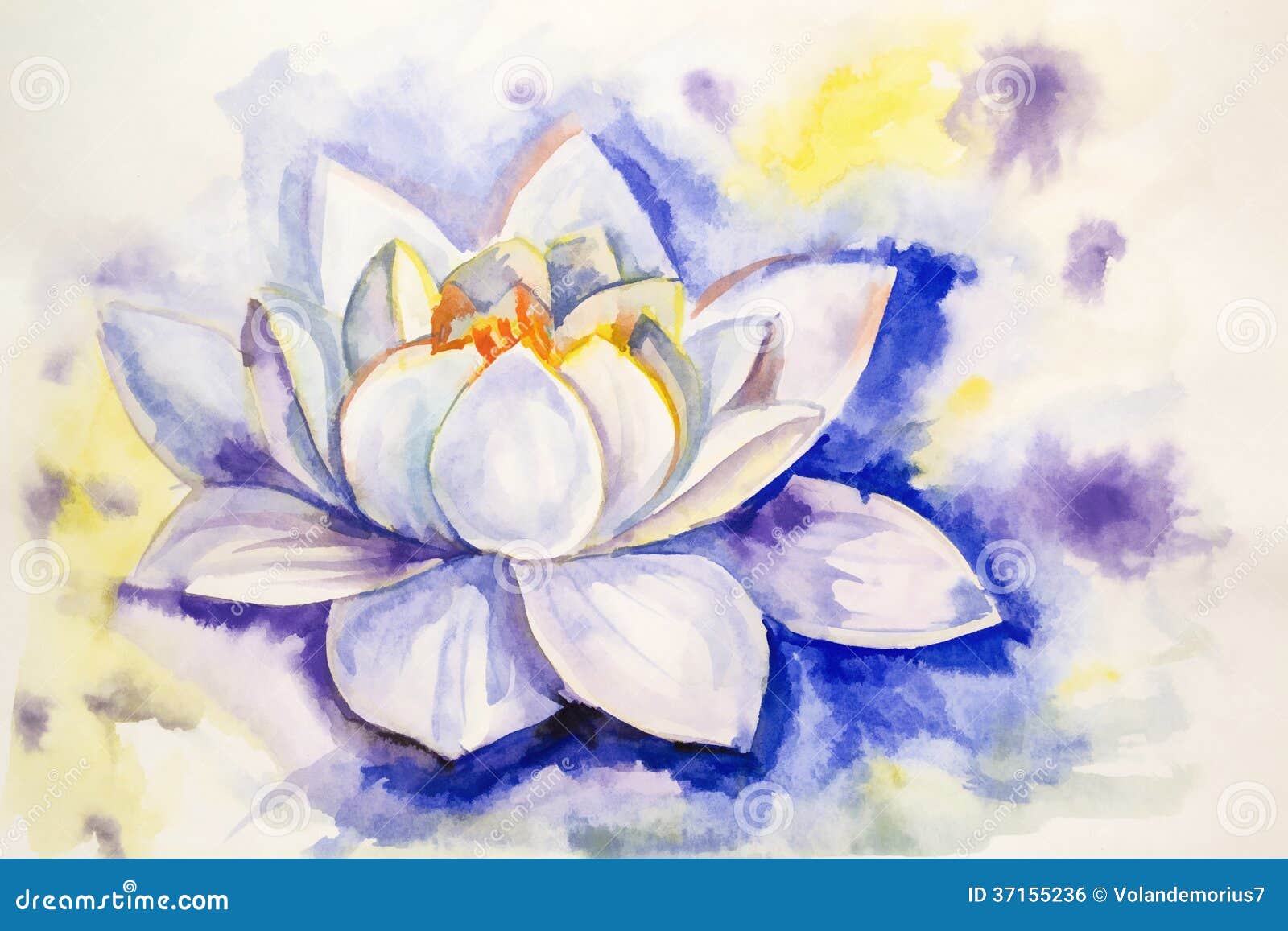 Drawing Water Lily White Paint Royalty Free Stock Image Drawing Water Lily White Paint Royalty Free Stock Image