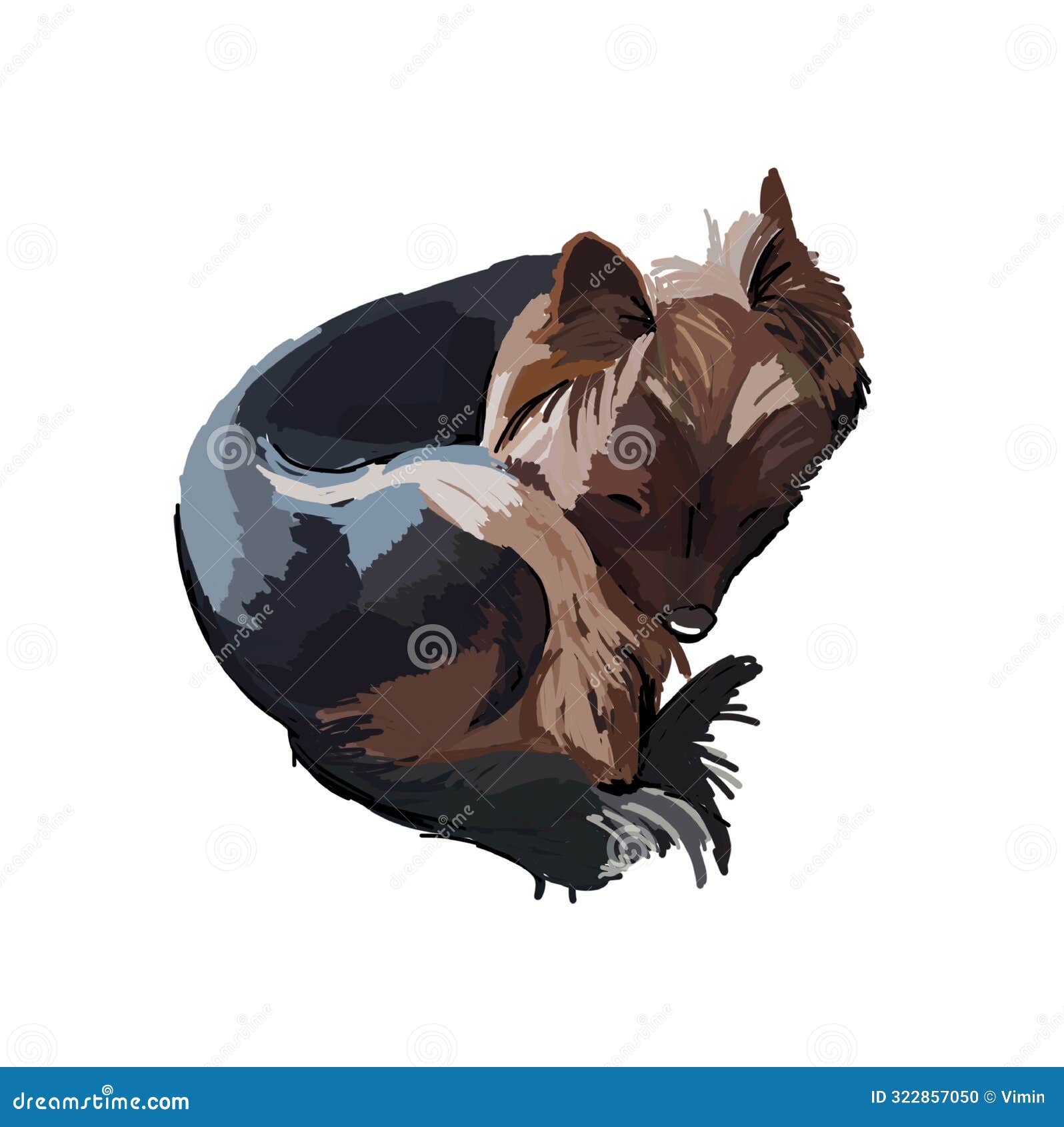 Drawing of the Yorkshire Terrier. Color Image of a Glamorous Dog. Stock
