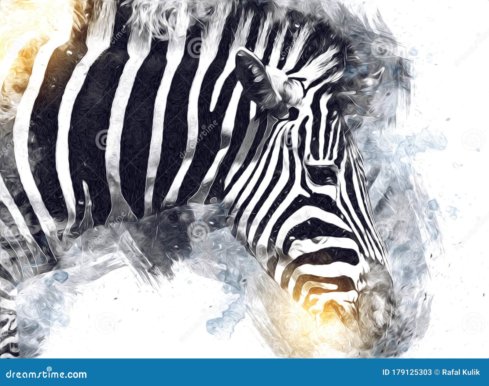 drawing of zebra, sketch of african mammal  for 