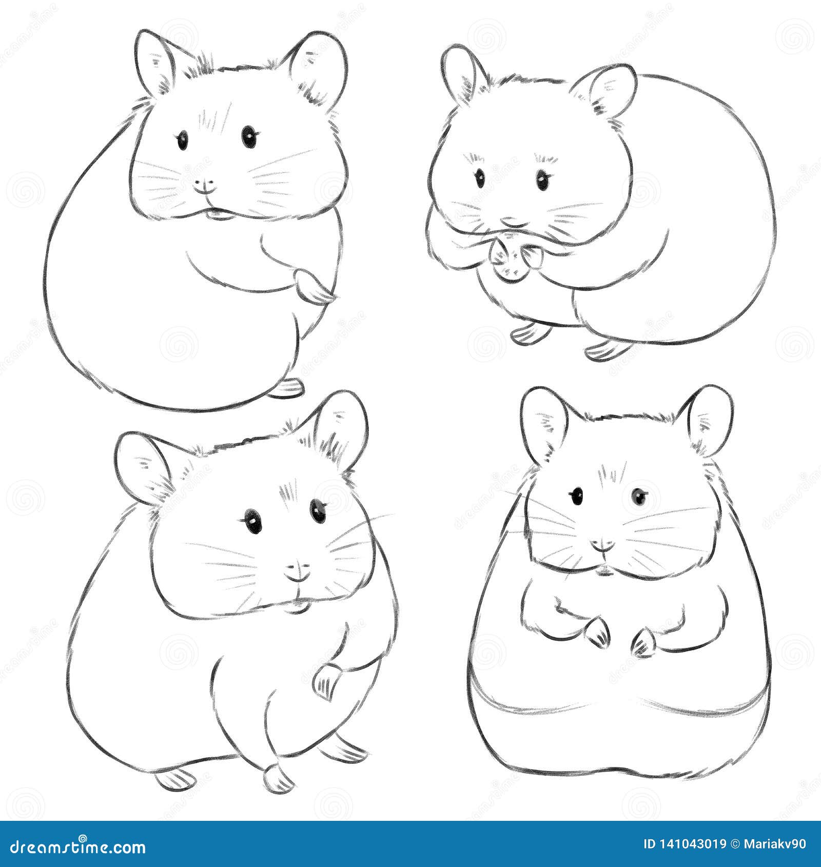 Drawn By Hand Sketches Of Cute Cartoon Hamsters On White