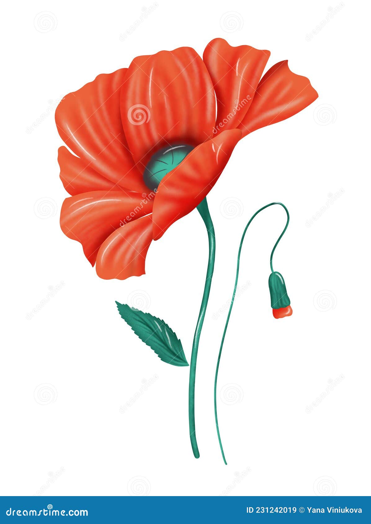 Drawn Red Flower. Raster Poppy on White Background Stock Illustration ...