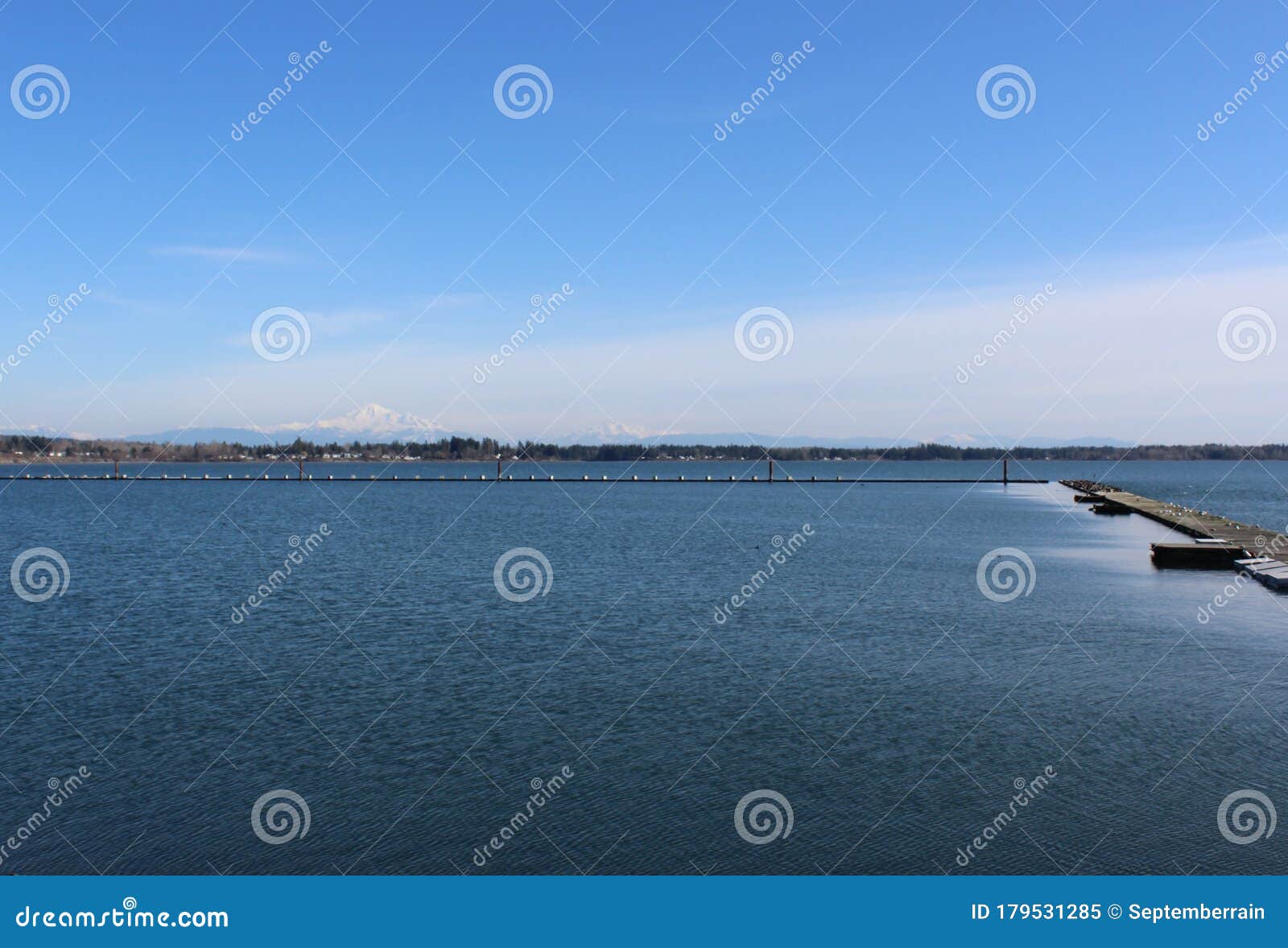 Drayton Harbor with a View of Snow Covered Mount Baker Stock Image