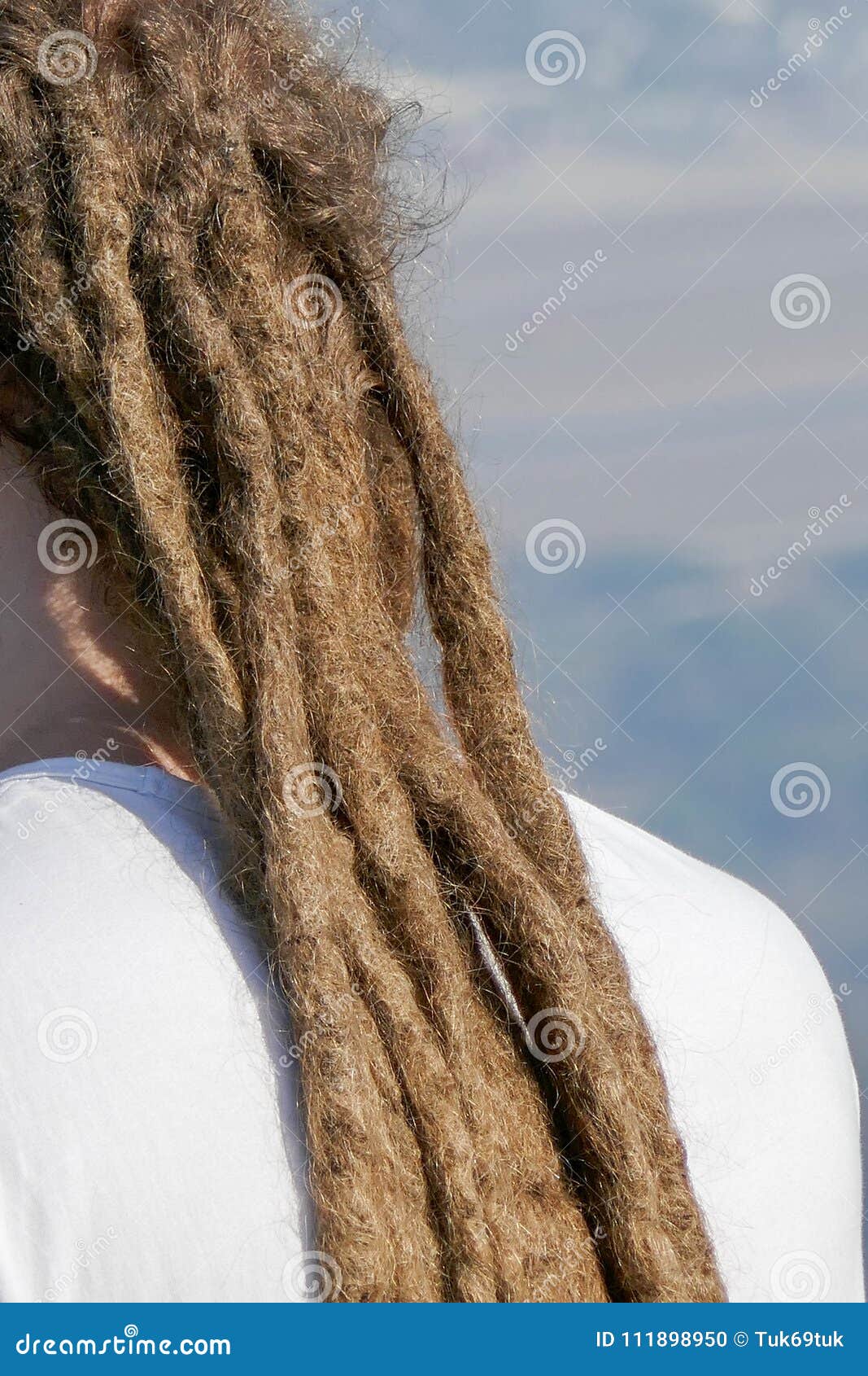 Dreadlocks Hairstyle Of Man Hair Dreadlocks Reggae Stile