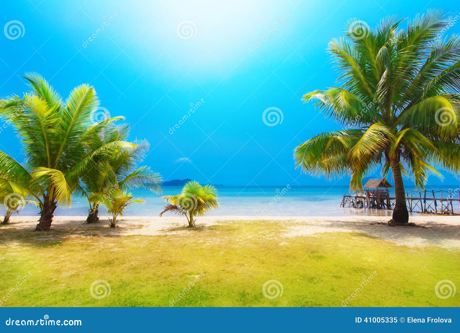 Tropical View from under a Palm Tree