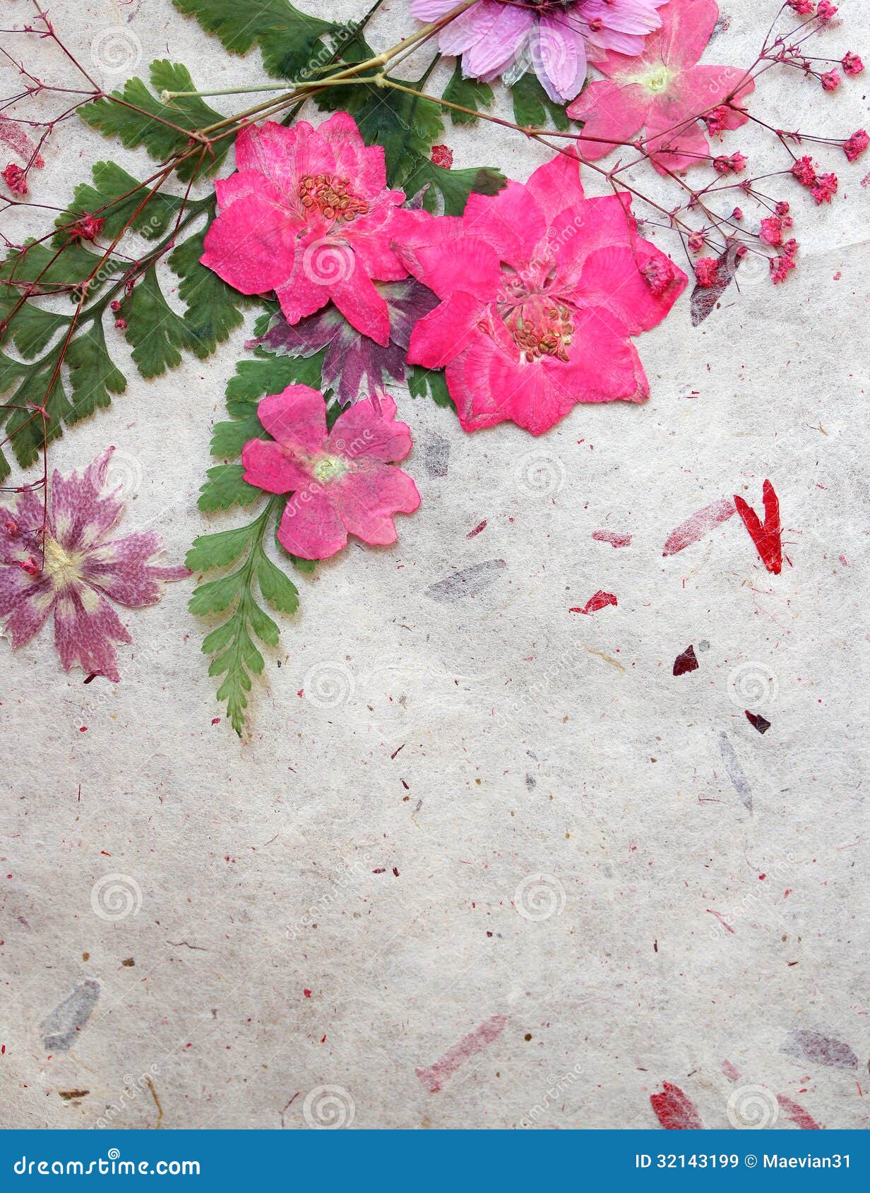 Dreaming in Pink Background Stock Image - Image of pastel, petals: 32143199