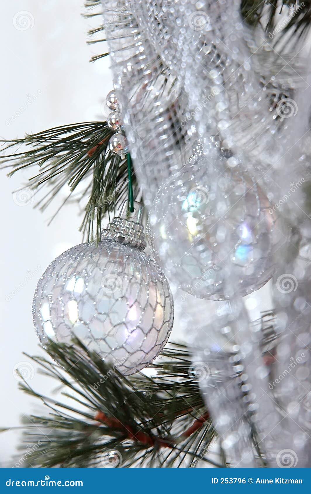 Dreaming of a White Christmas Stock Photo Image of shine, glisten 253796