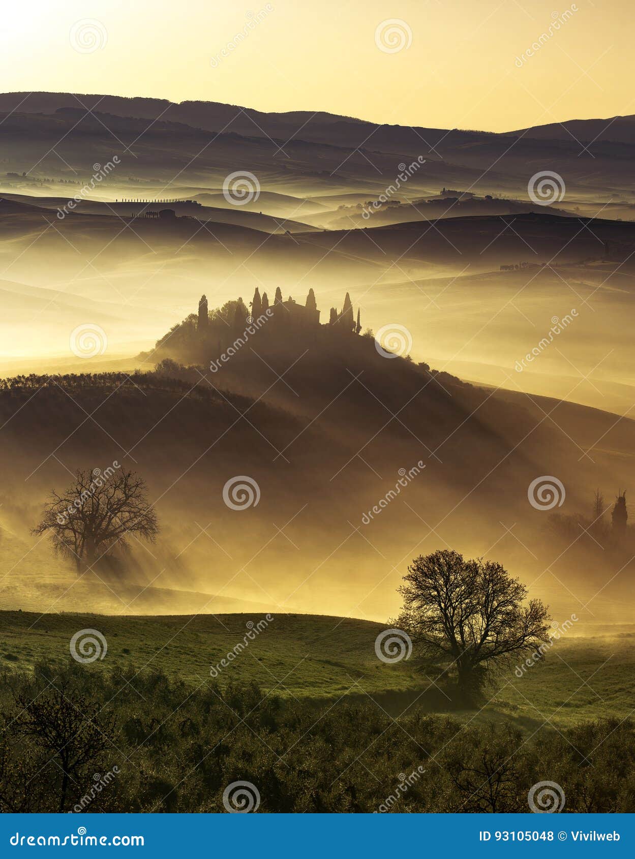 dreamlike dawn on misty hills
