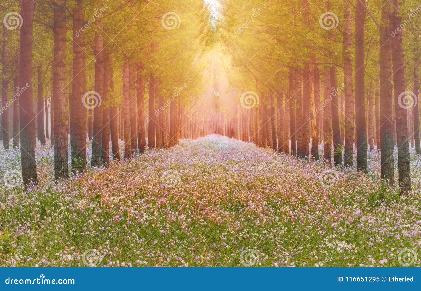 dreamlike forest in spring