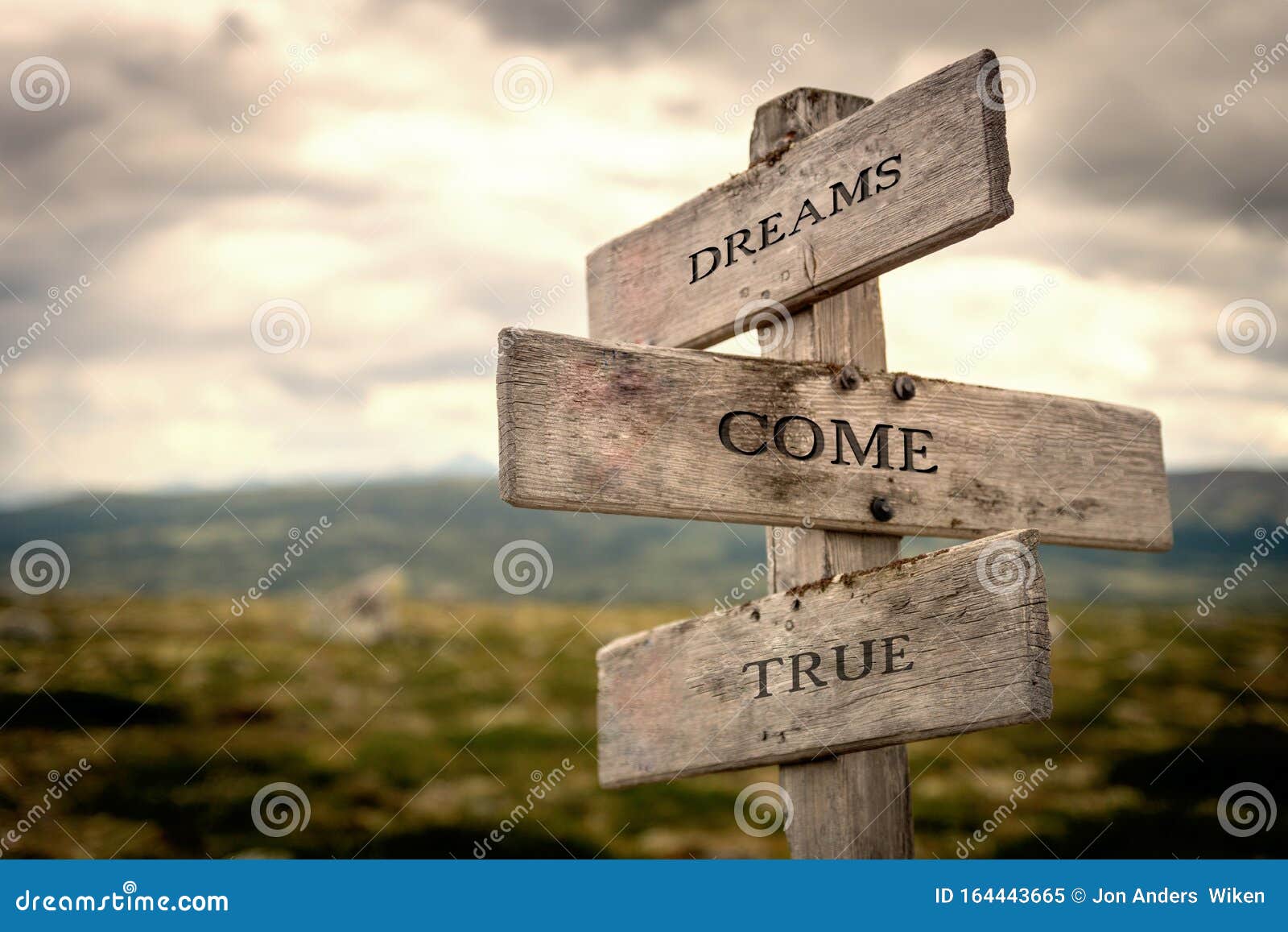 dreams come true wooden signpost outdoors in nature.