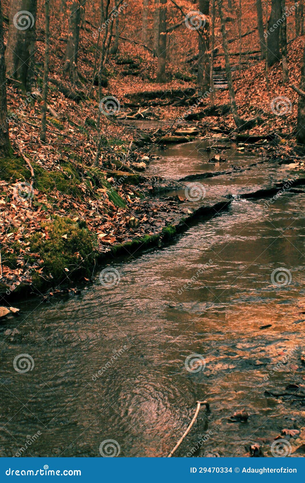Dreamy Creek stock photo. Image of water, leading, enchanting 29470334